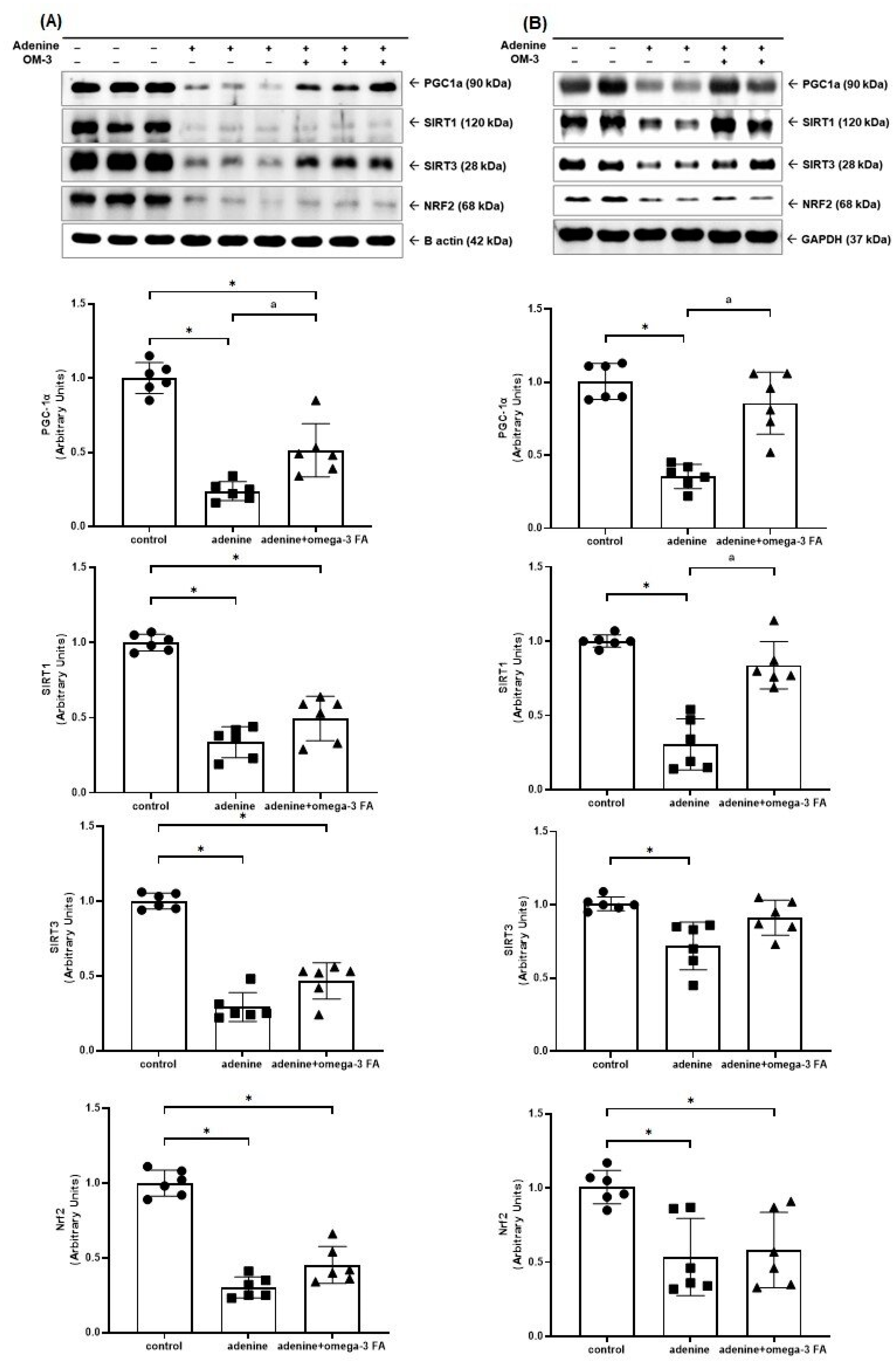 Biomedicines 12 02107 g001