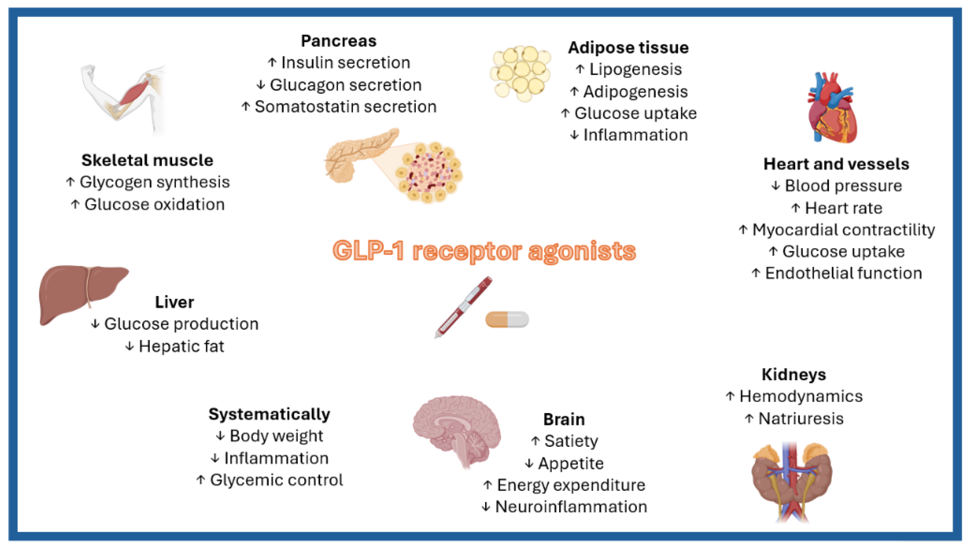 Biomedicines 12 02112 g002