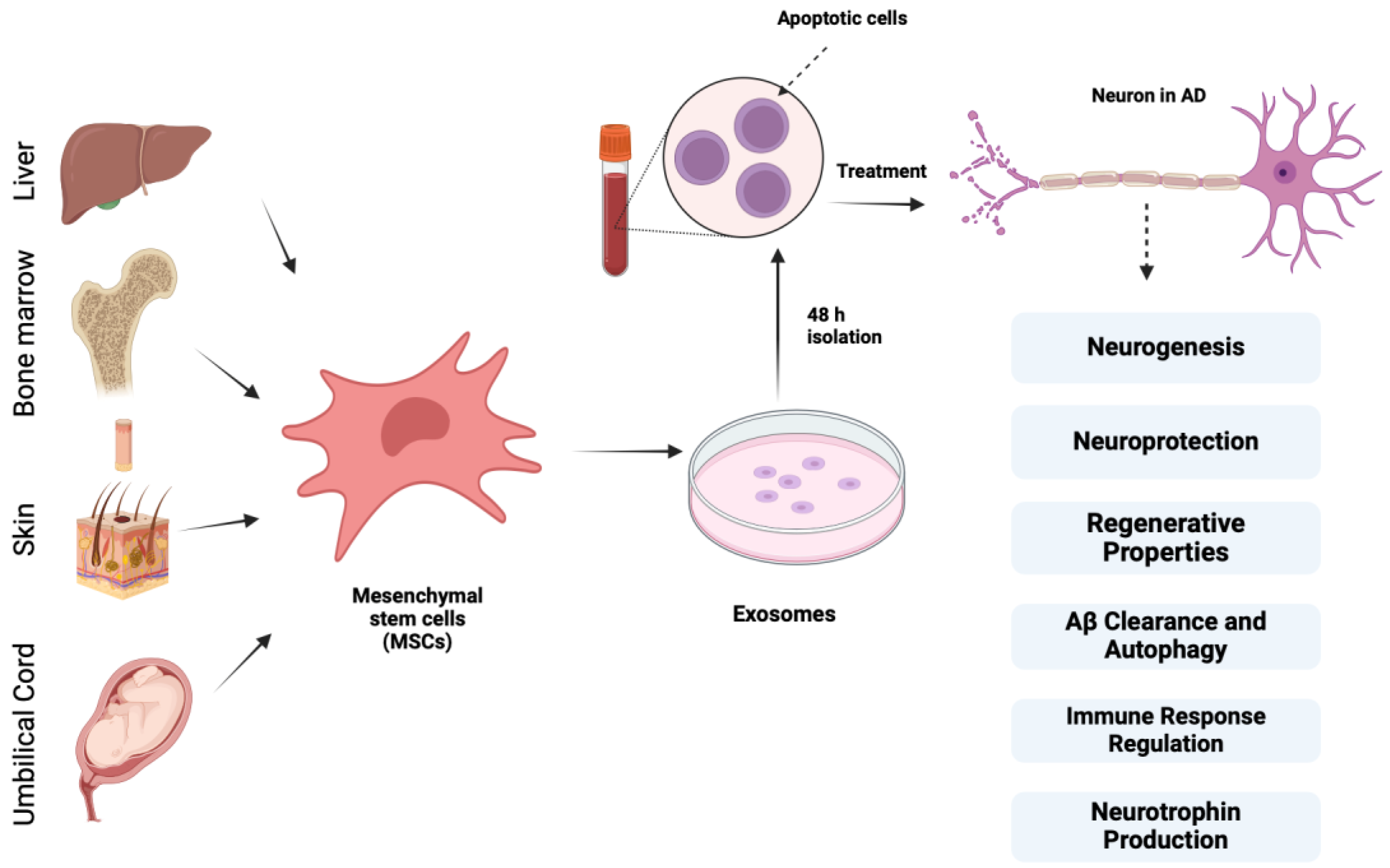 Biomedicines 12 02113 g003