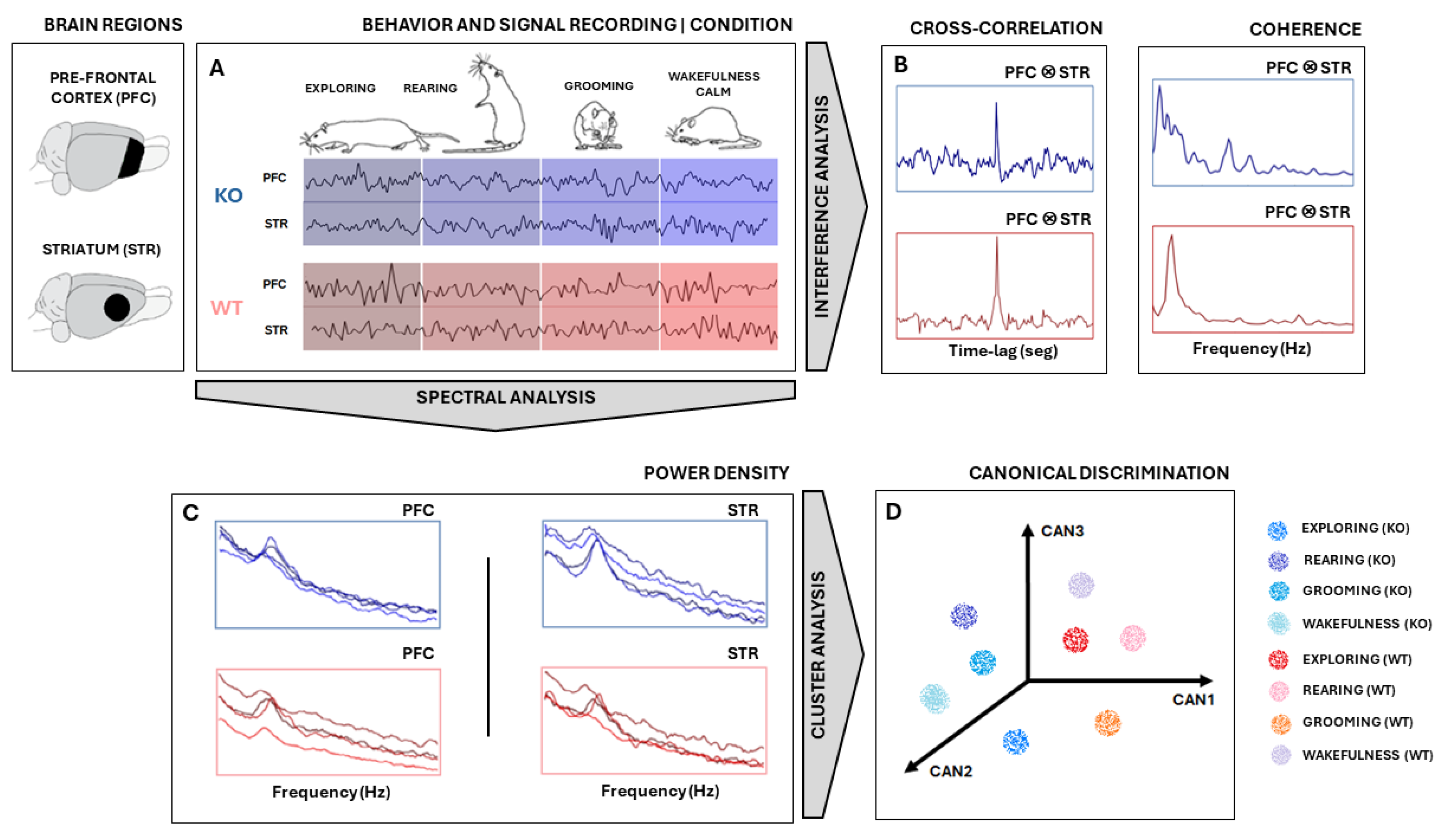 Biomedicines 12 02114 g001