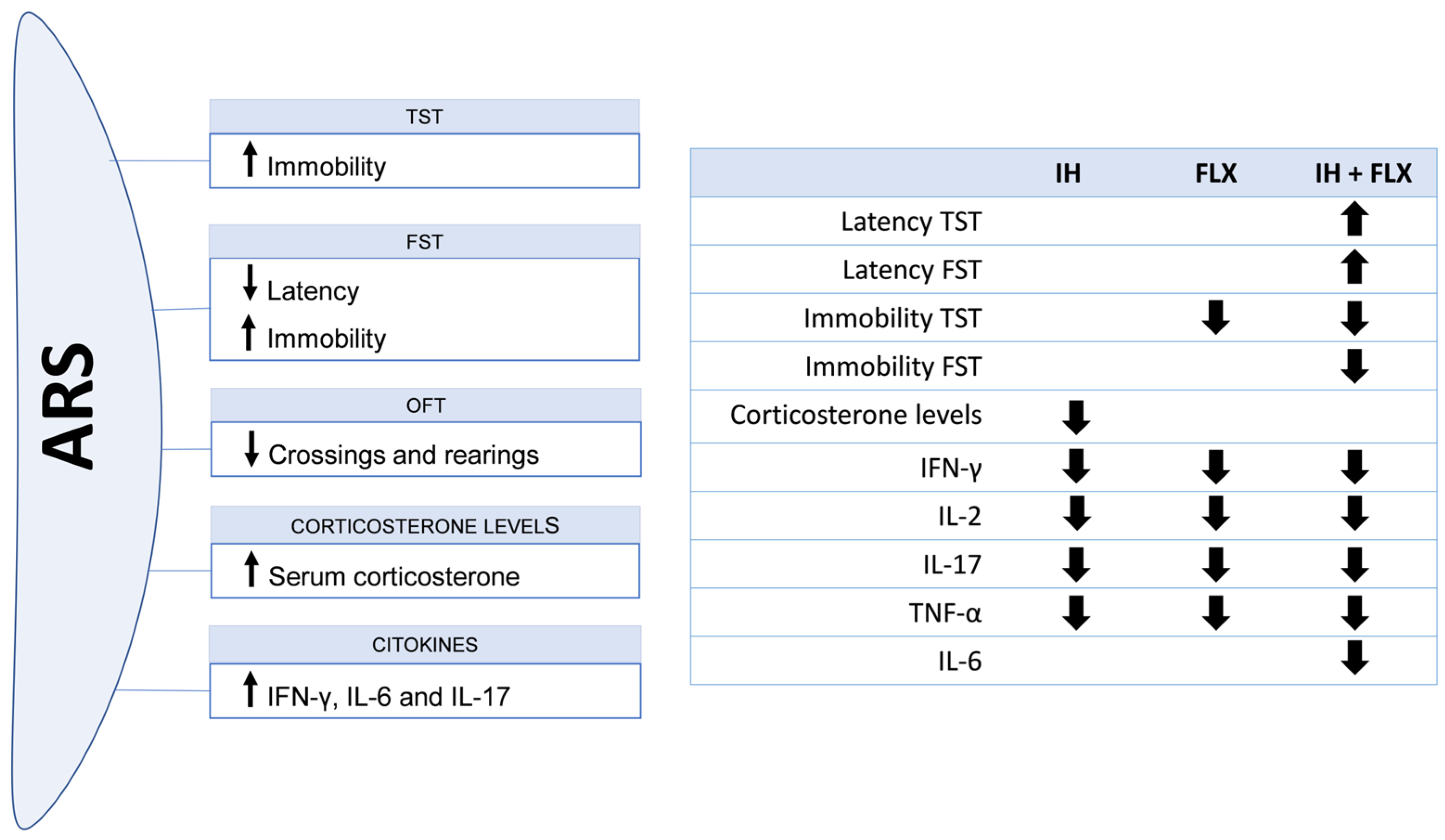 Biomedicines 12 02116 g006