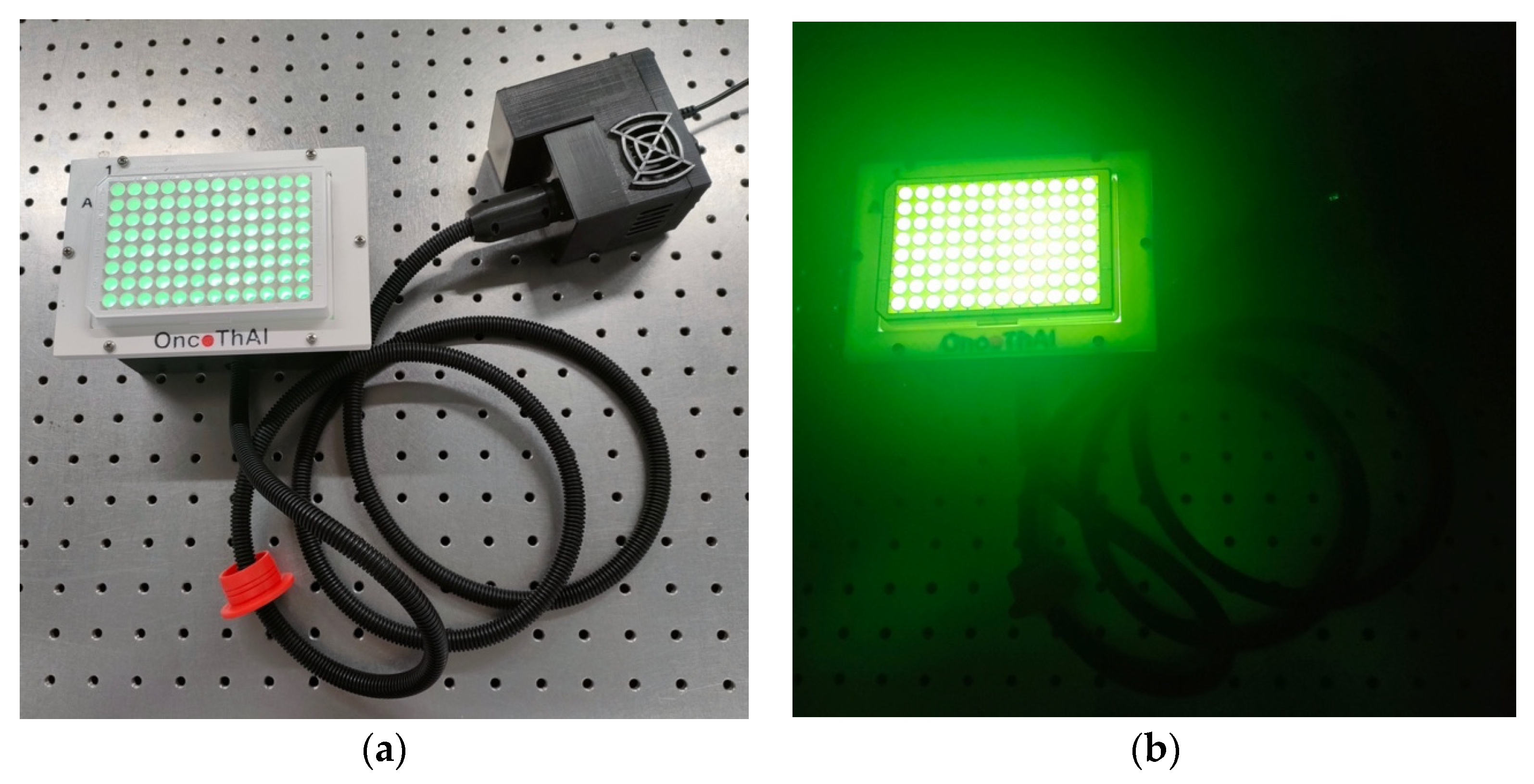 Biomedicines 12 02120 g001