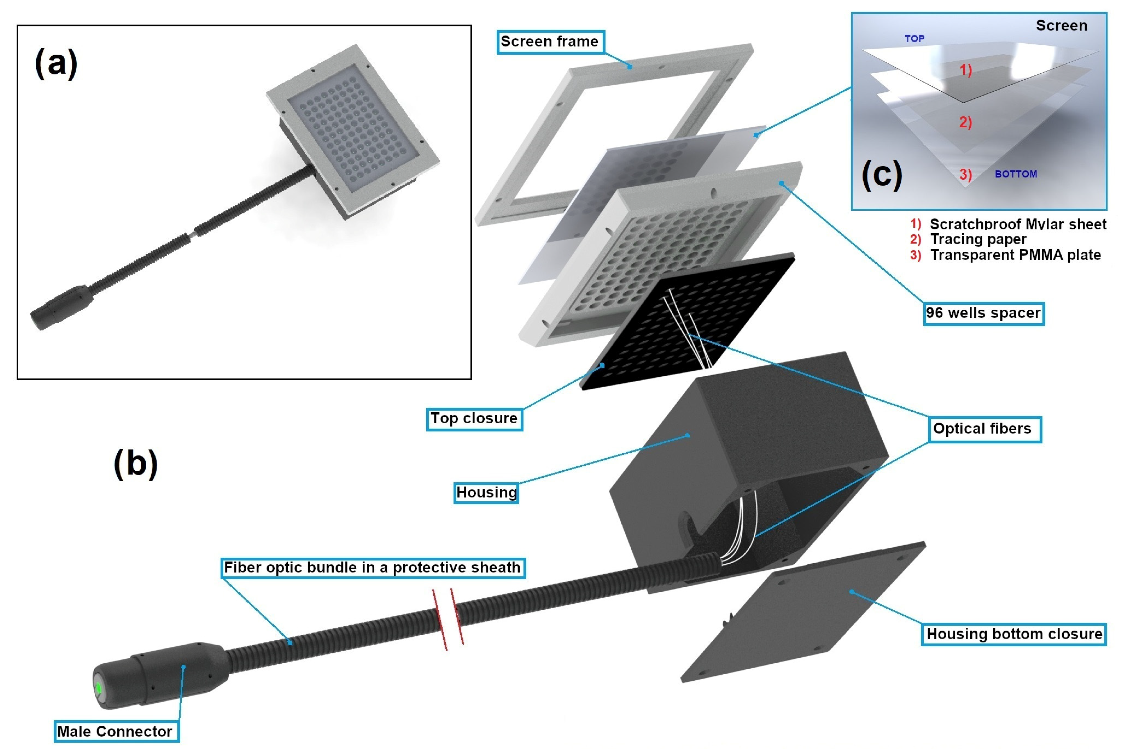 Biomedicines 12 02120 g003