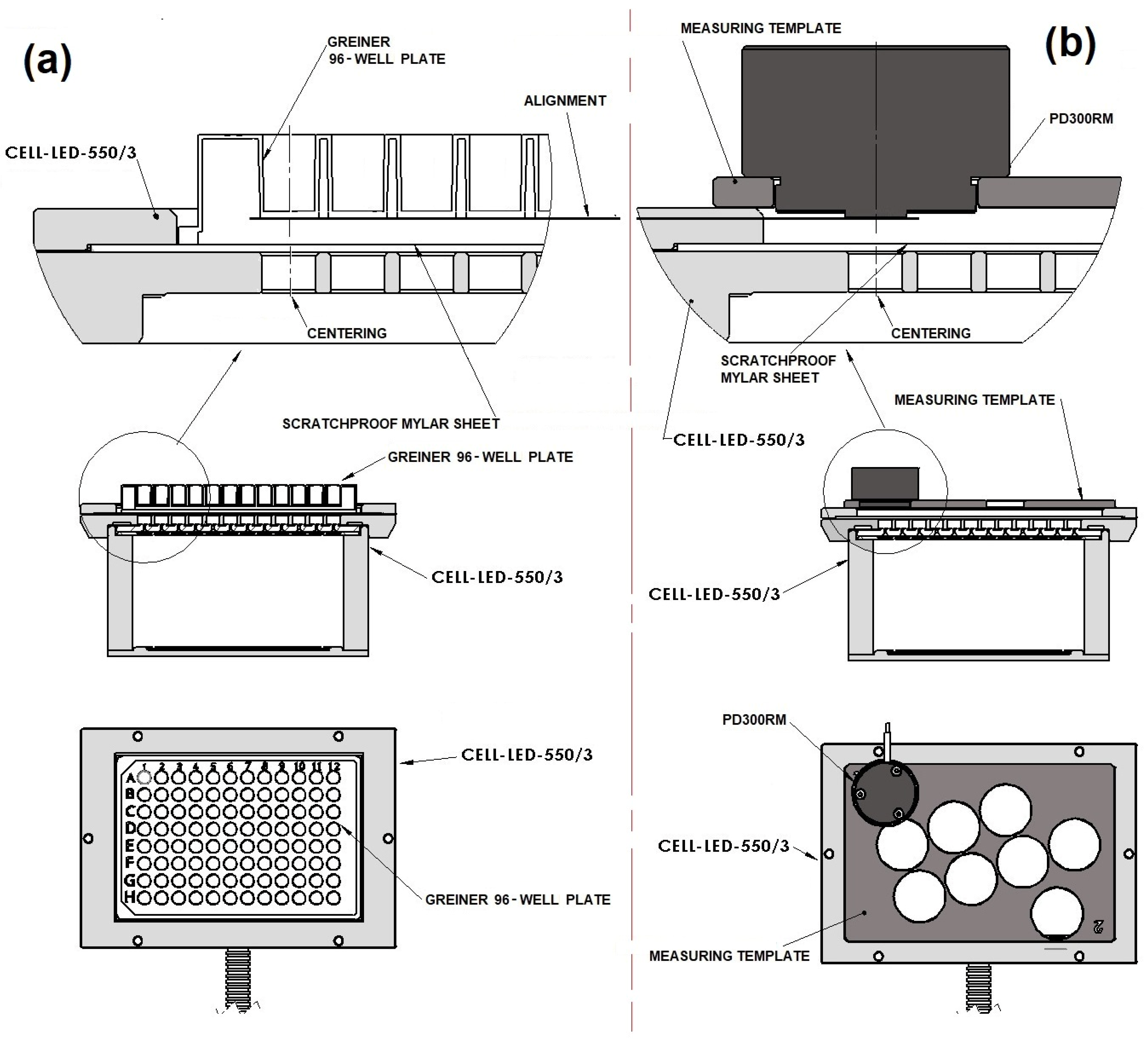 Biomedicines 12 02120 g005