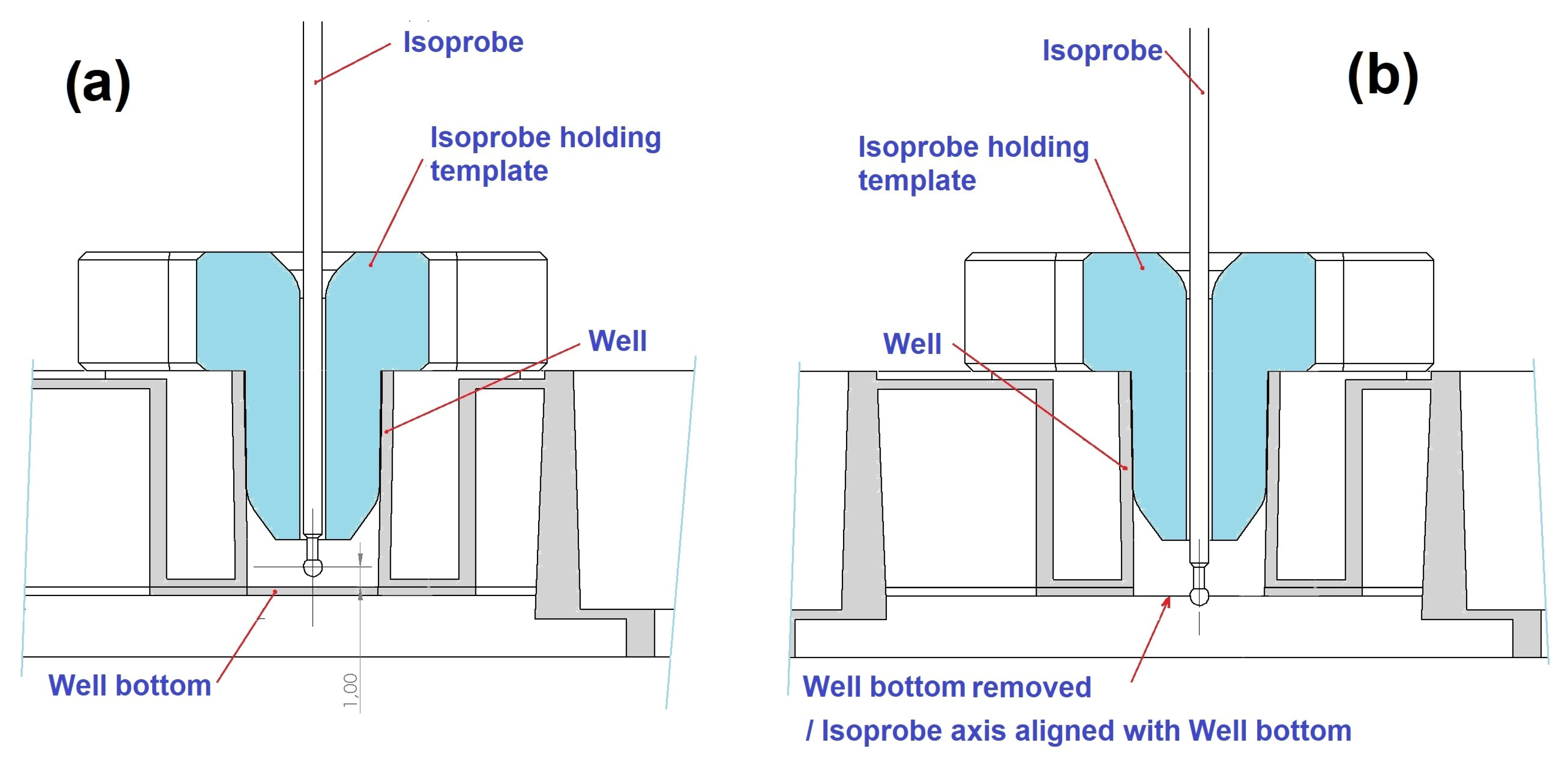 Biomedicines 12 02120 g006