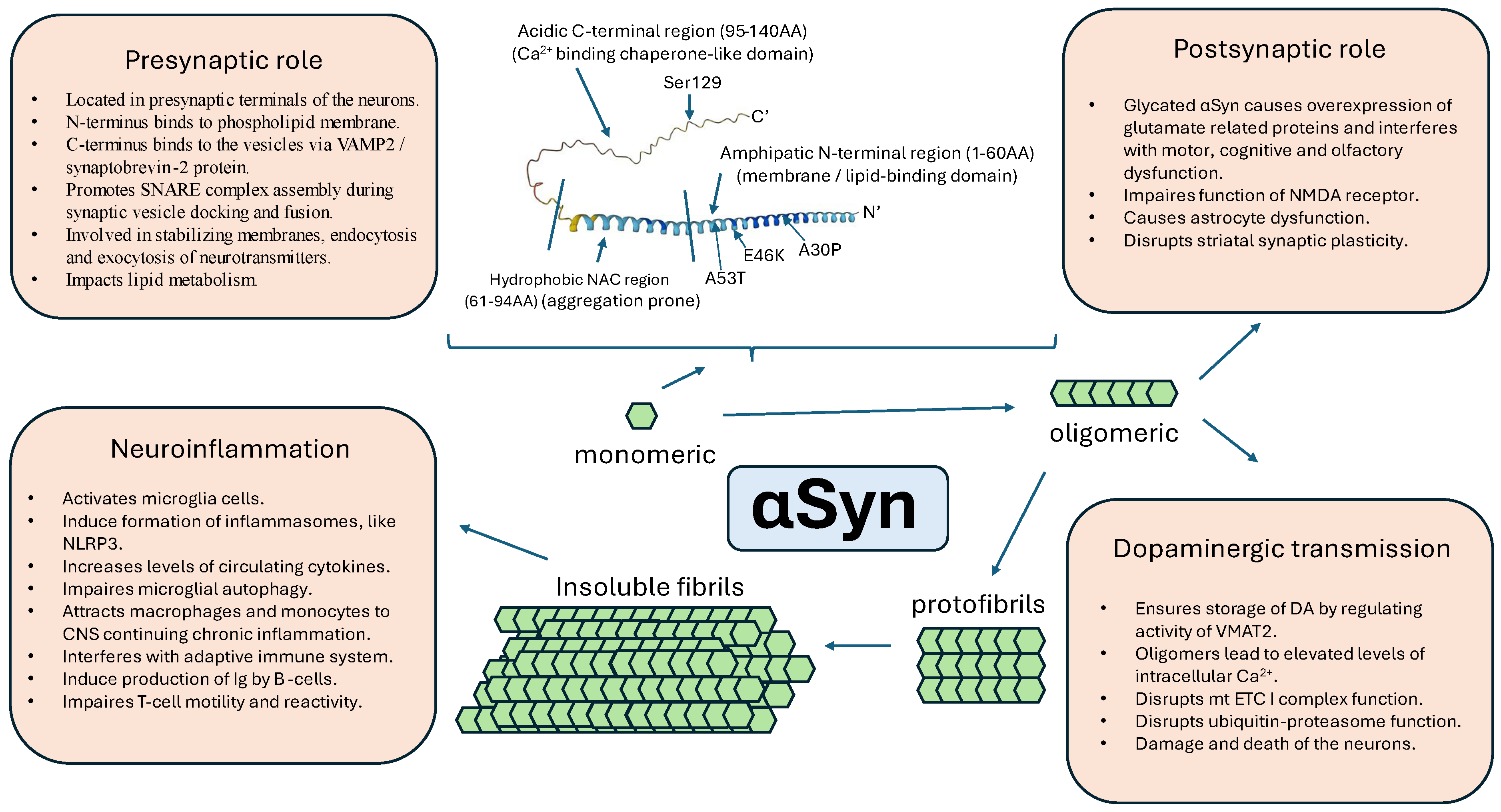 Biomedicines 12 02121 g002