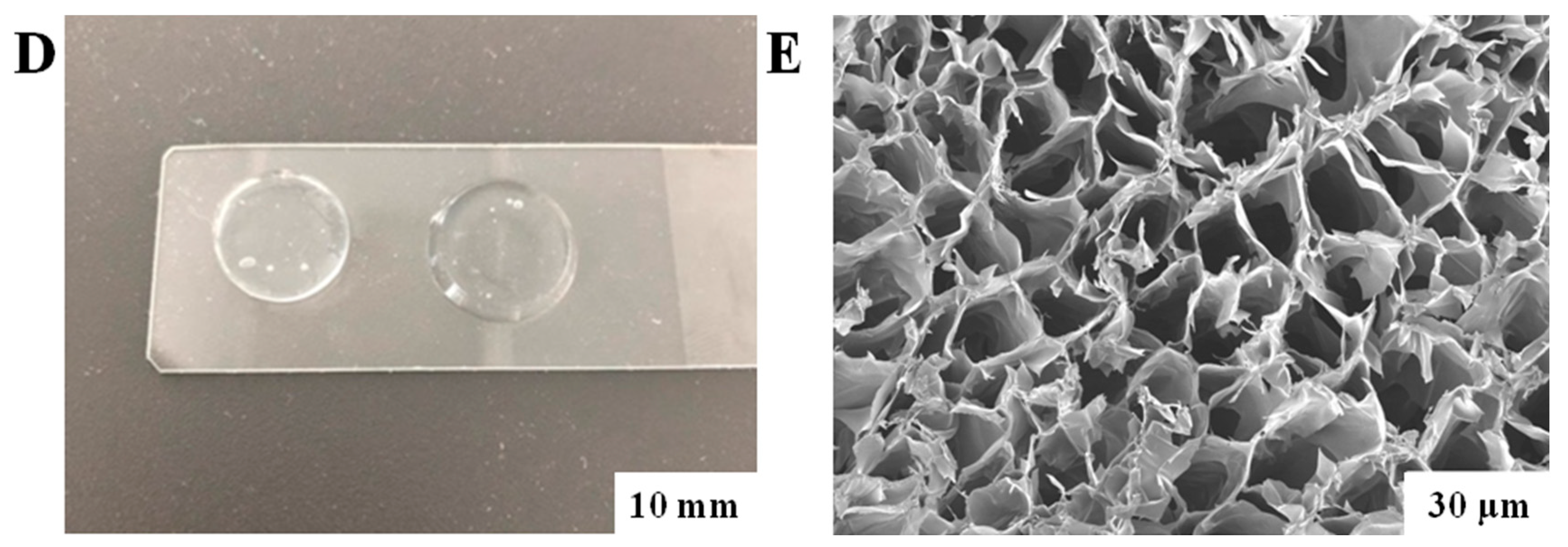 Biomedicines 12 02122 g001b