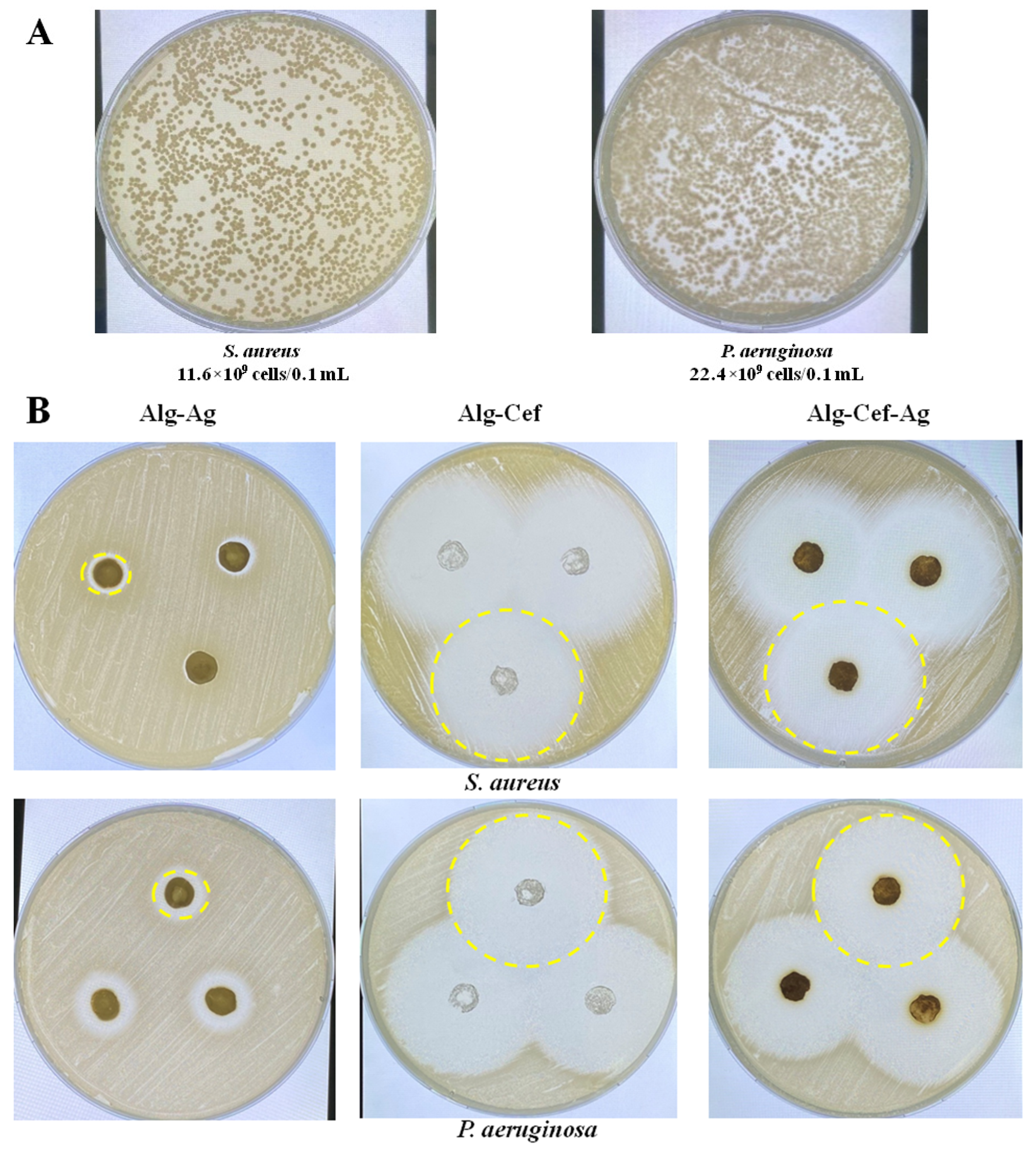 Biomedicines 12 02122 g003