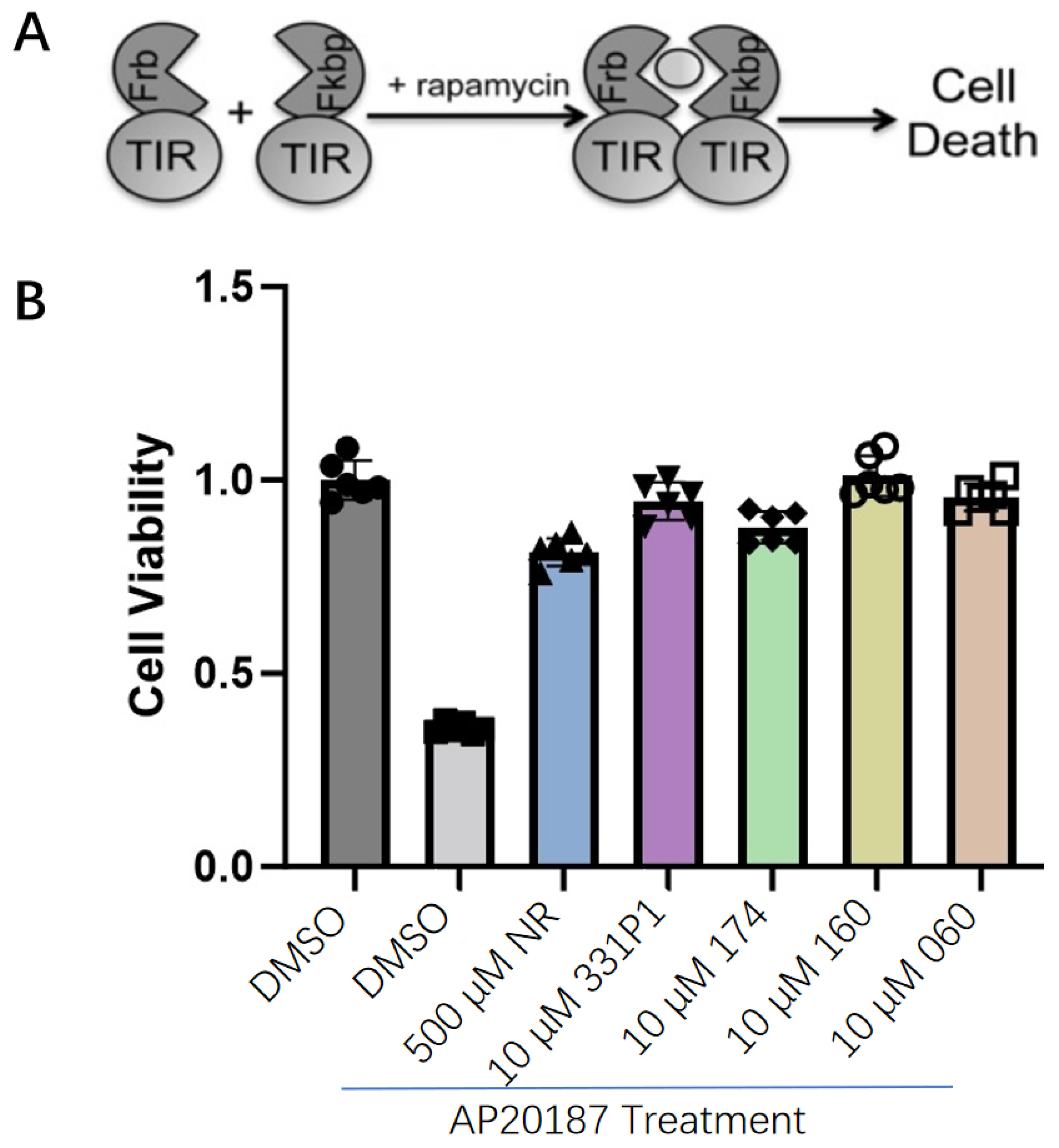 Biomedicines 12 02123 g002