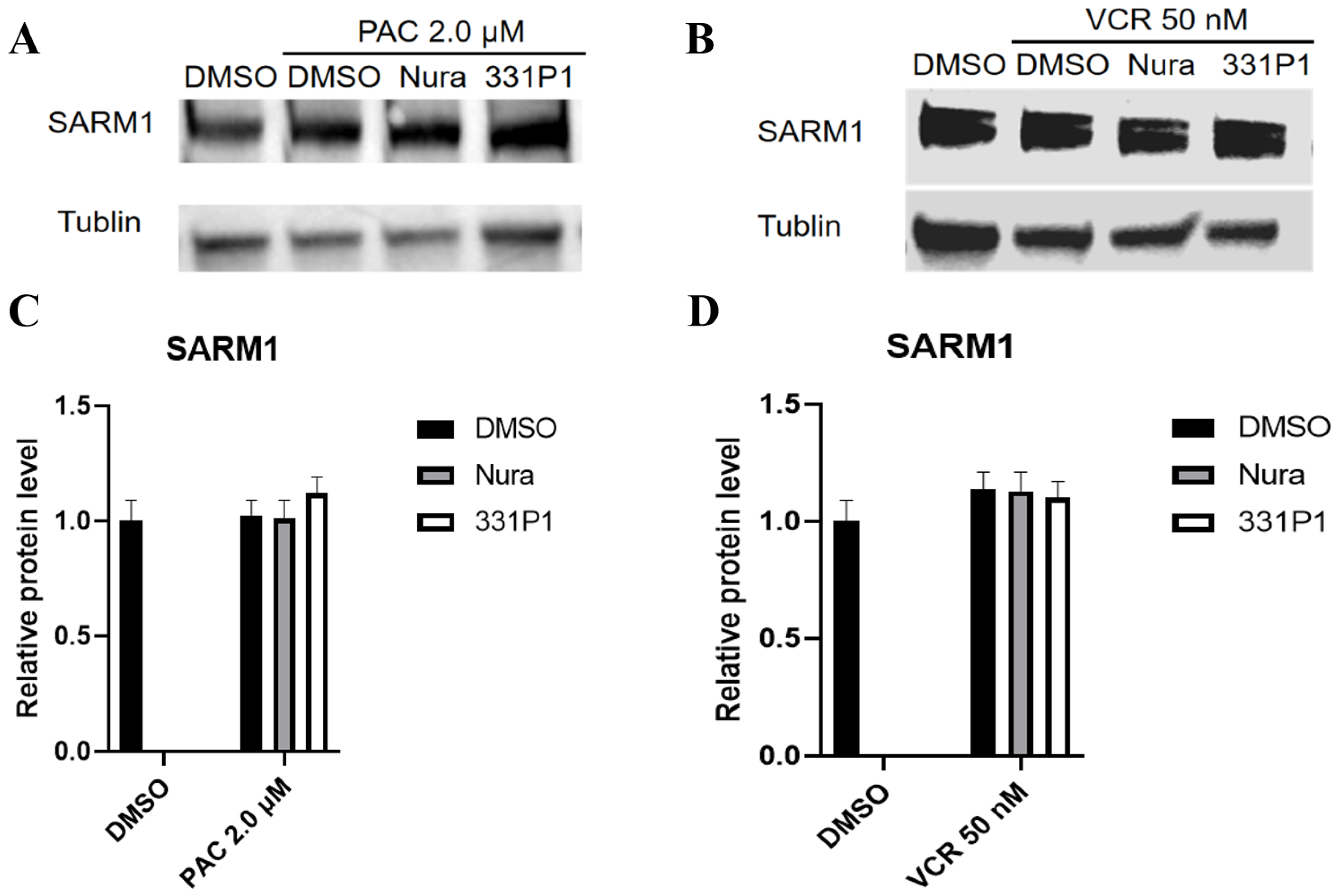 Biomedicines 12 02123 g004