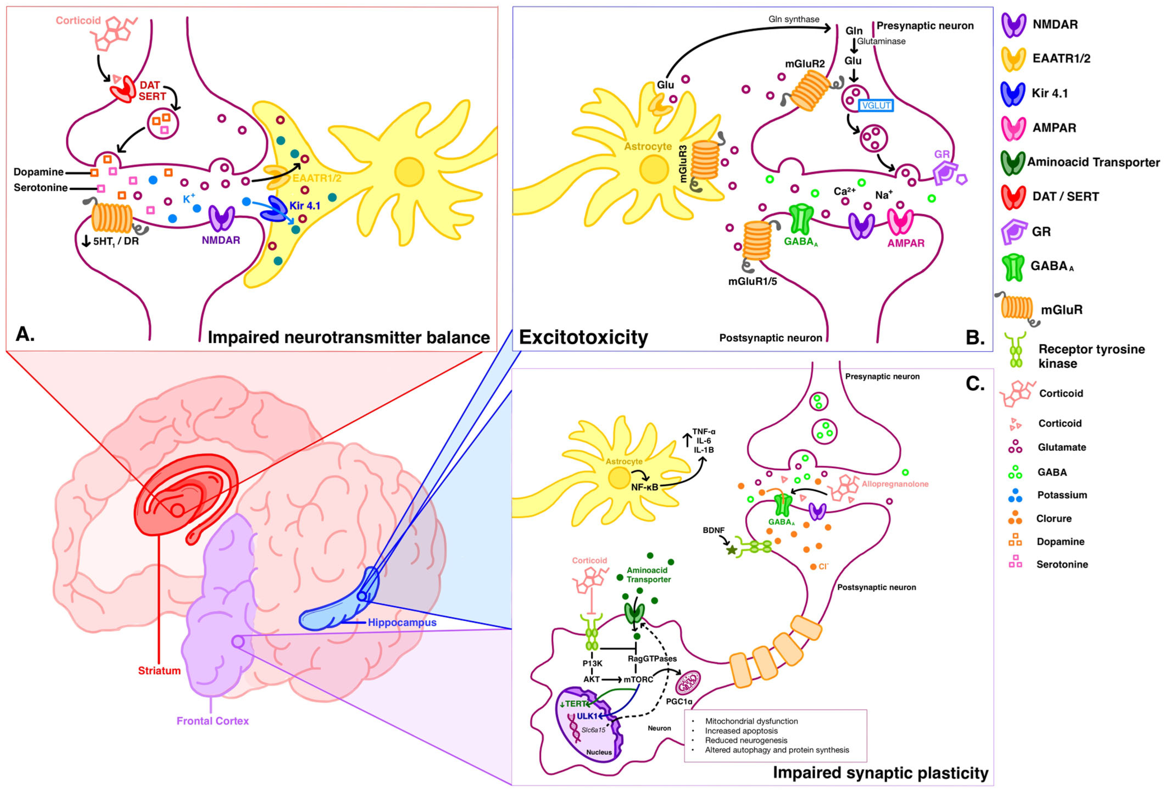 Biomedicines 12 02131 g001