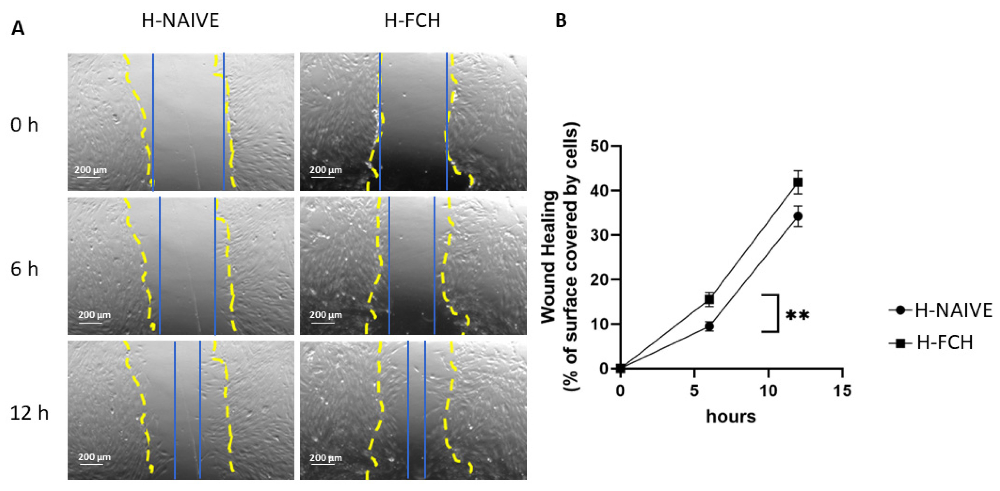 Biomedicines 12 02132 g002 Biomedicines 12 02132 g002
