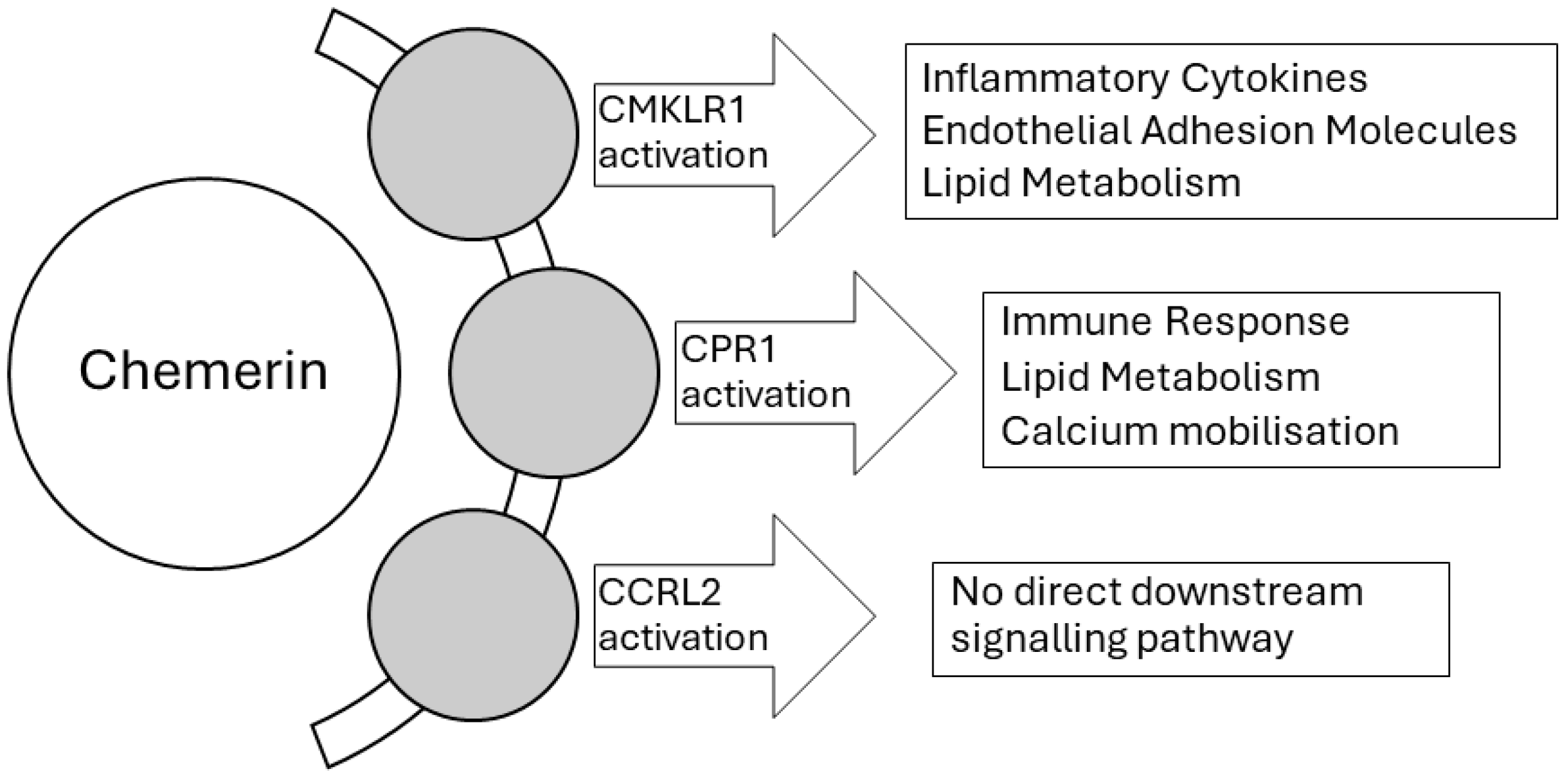 Biomedicines 12 02133 g001 Biomedicines 12 02133 g001