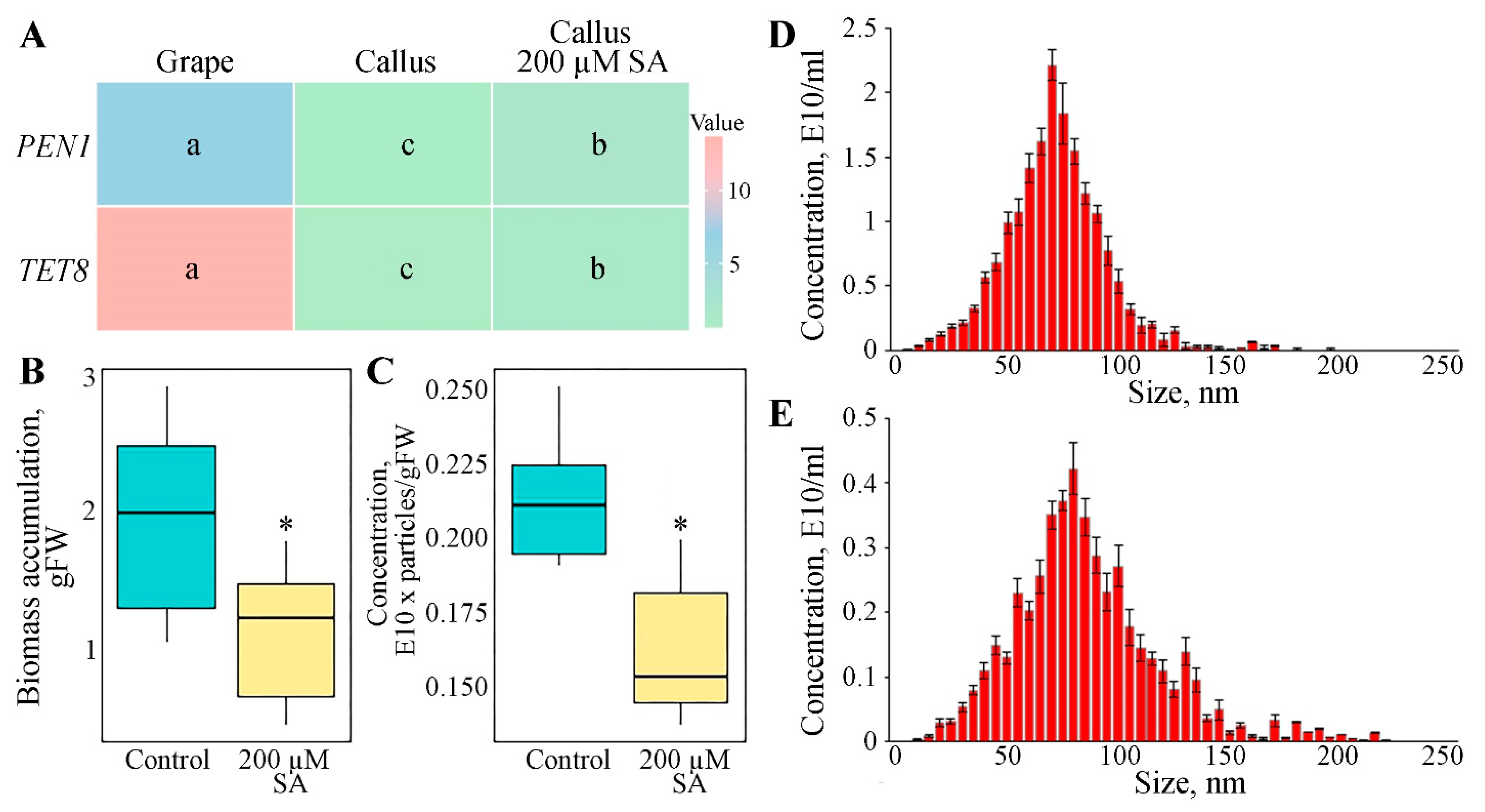 Biomedicines 12 02142 g002