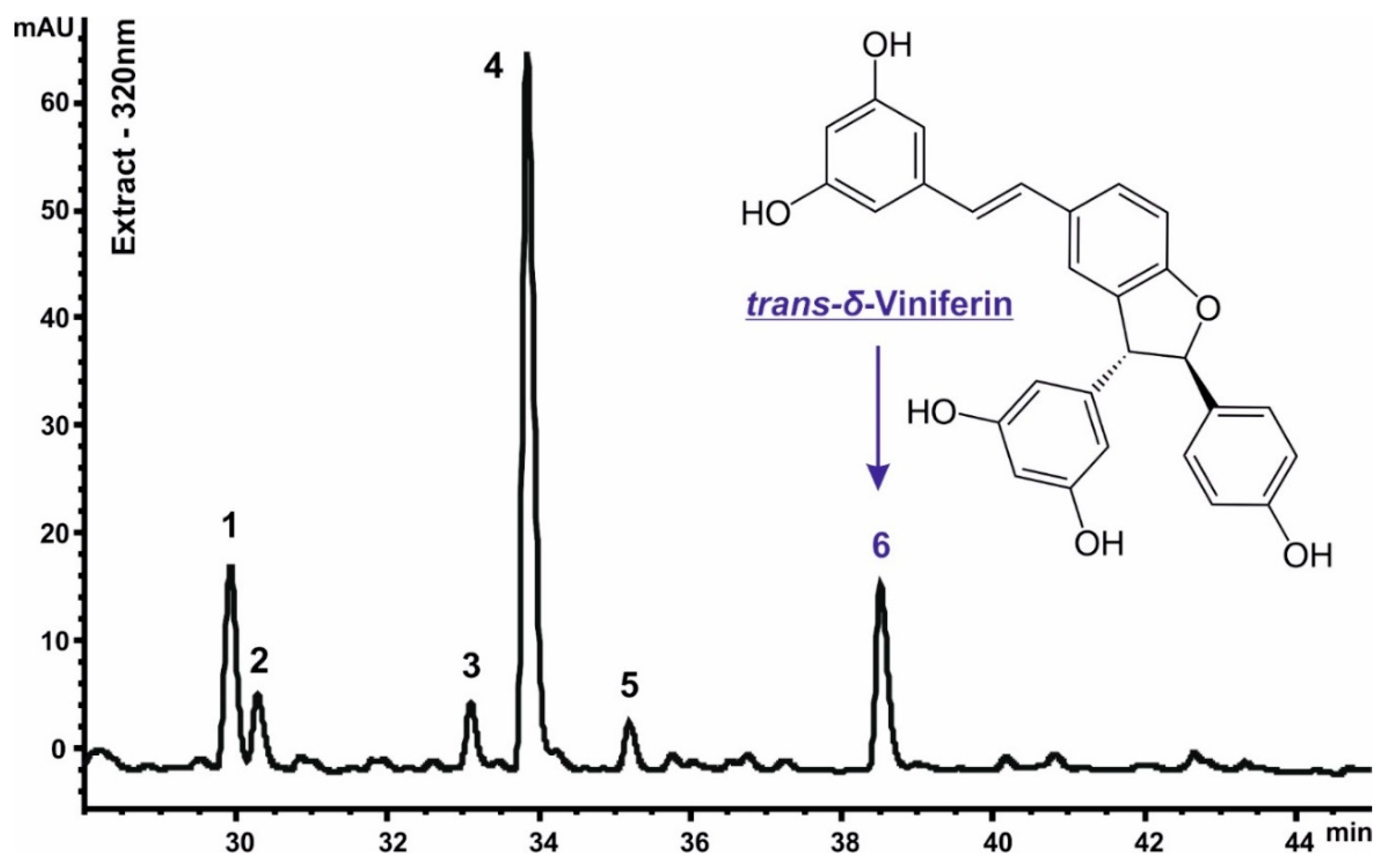 Biomedicines 12 02142 g004