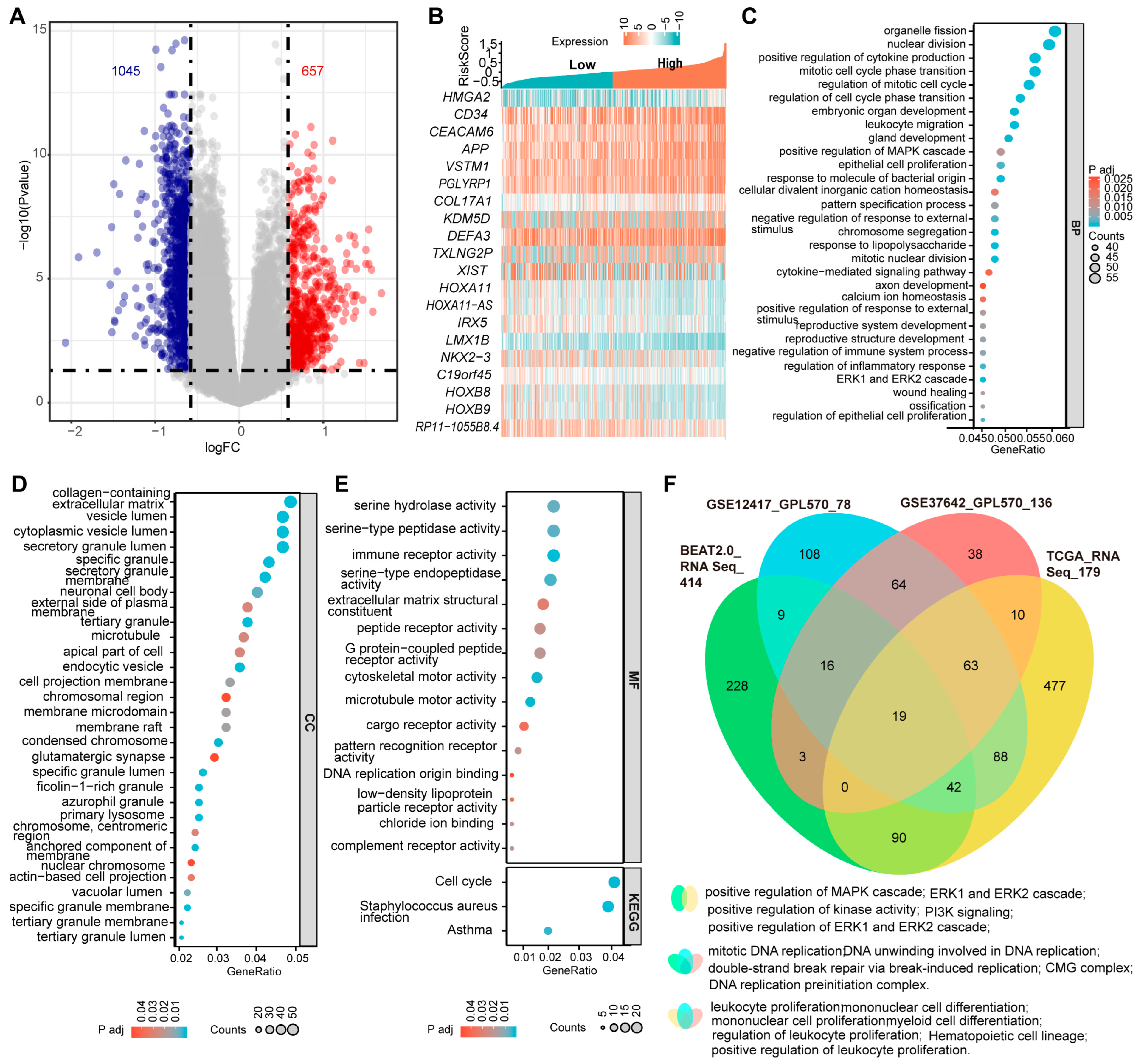 Biomedicines 12 02147 g006