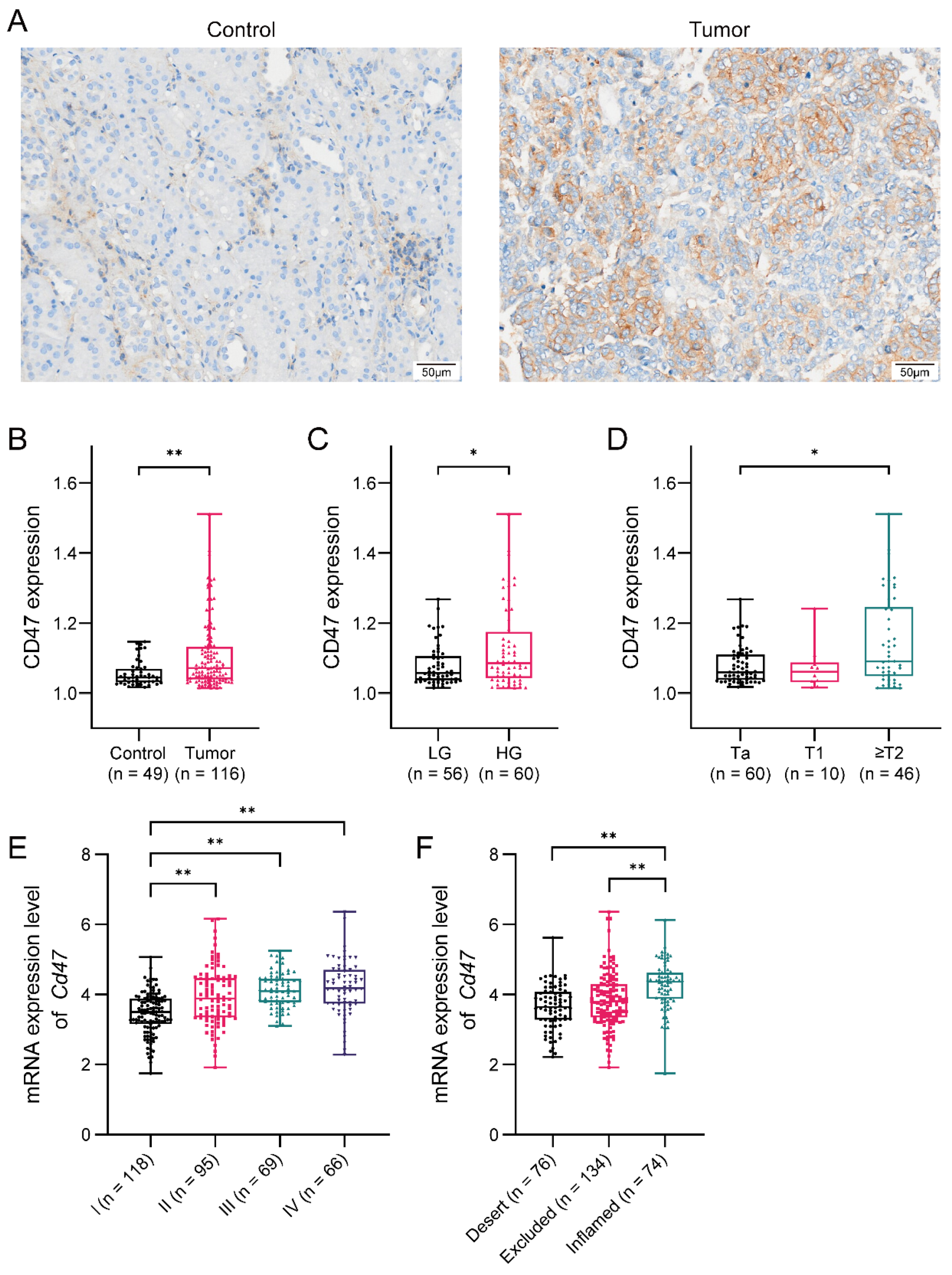 Biomedicines 12 02152 g001