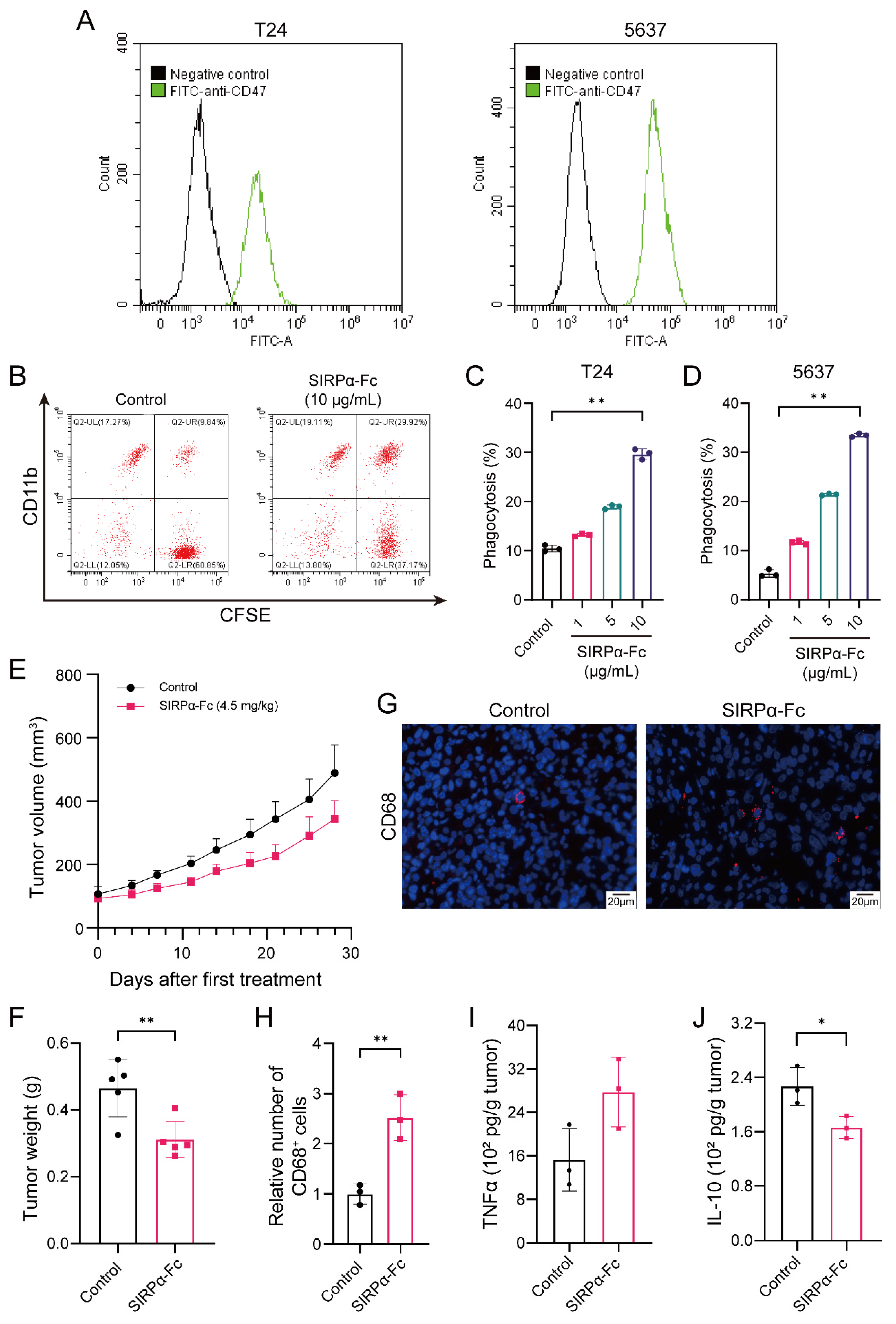 Biomedicines 12 02152 g002