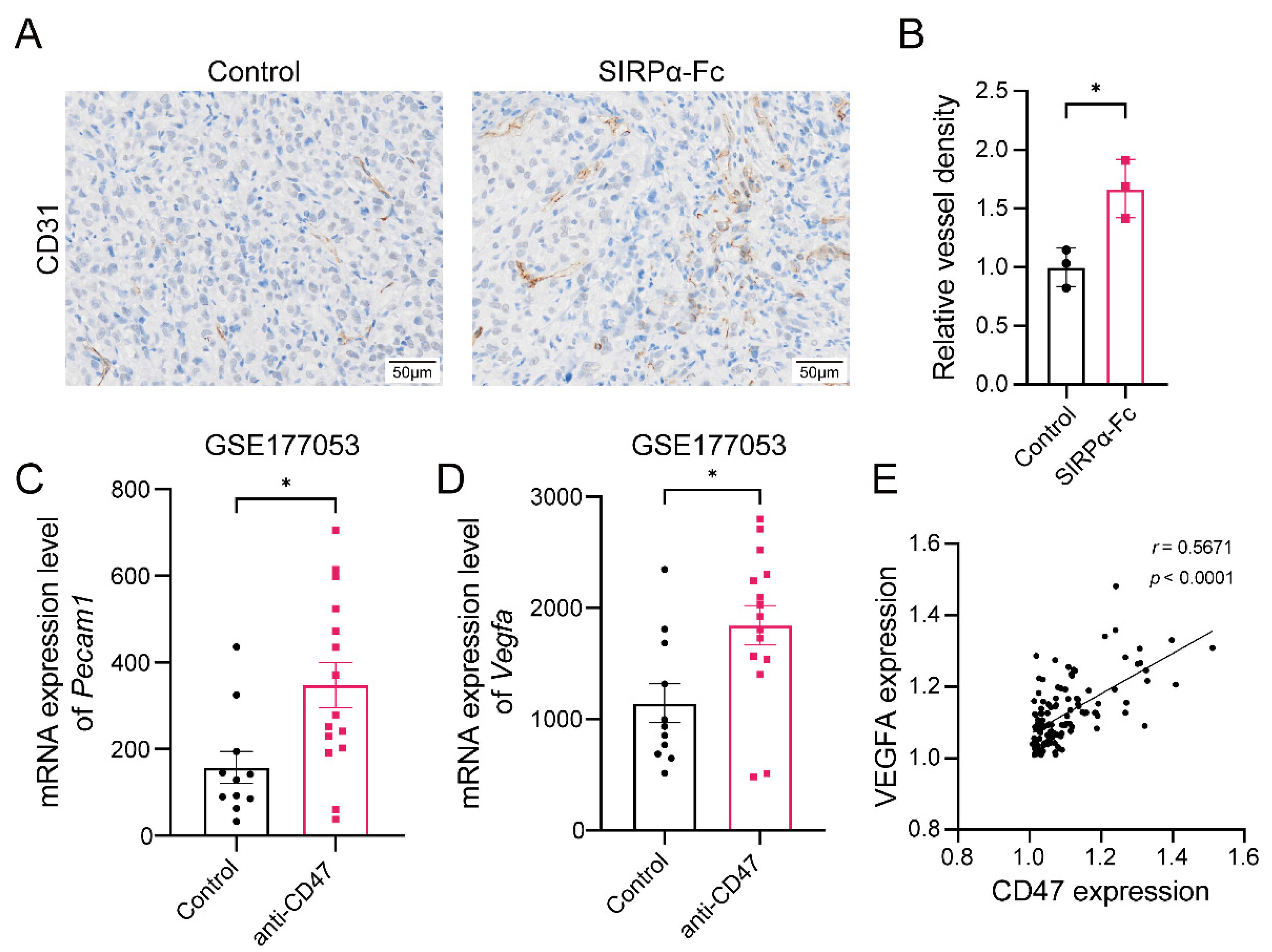 Biomedicines 12 02152 g003