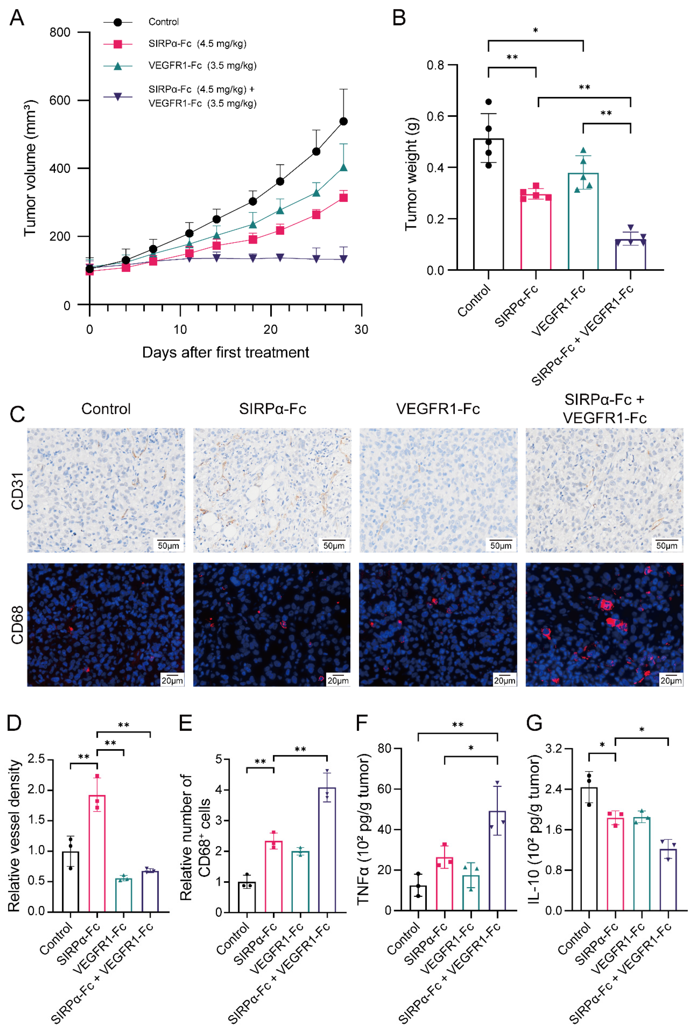 Biomedicines 12 02152 g004