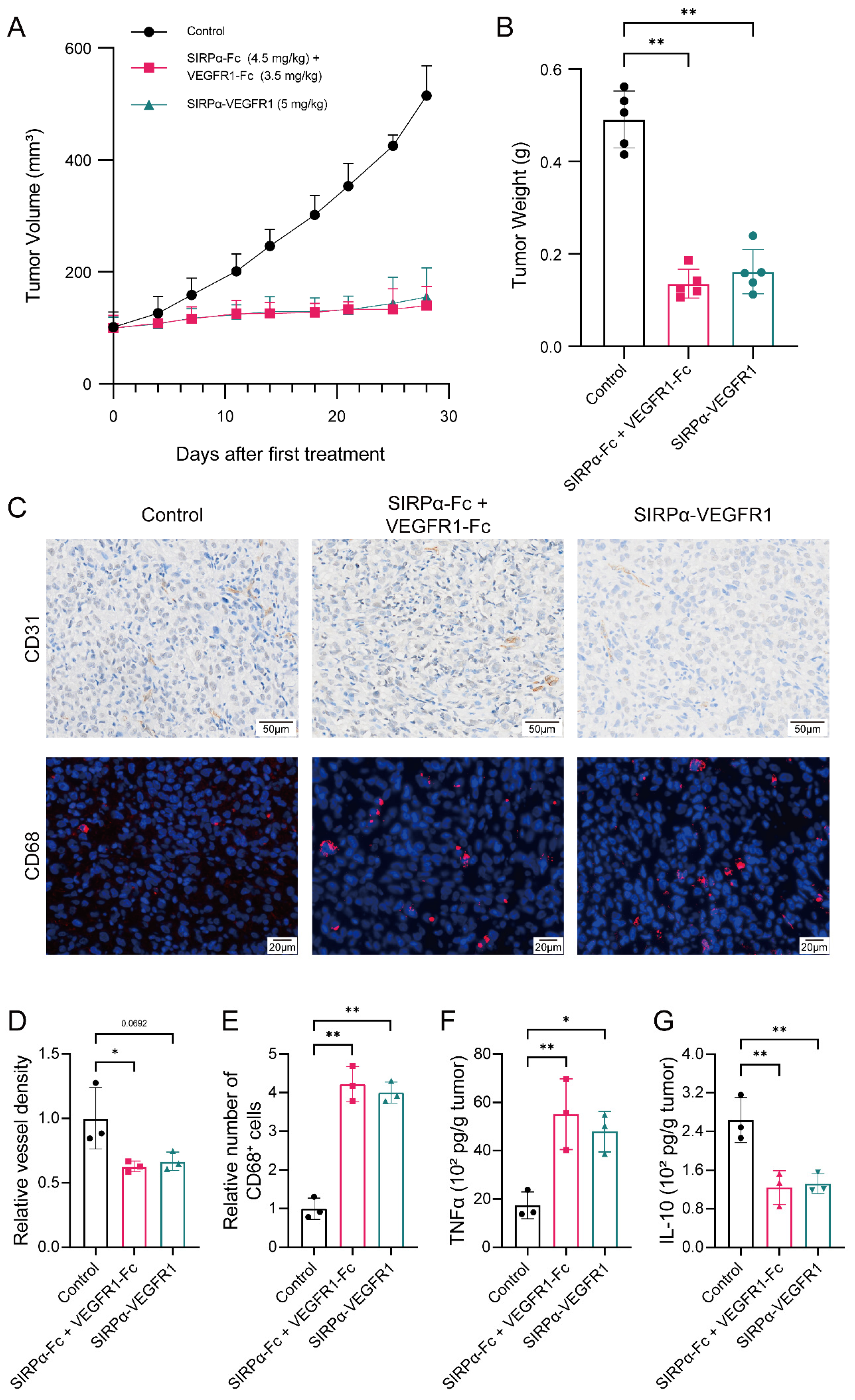 Biomedicines 12 02152 g005