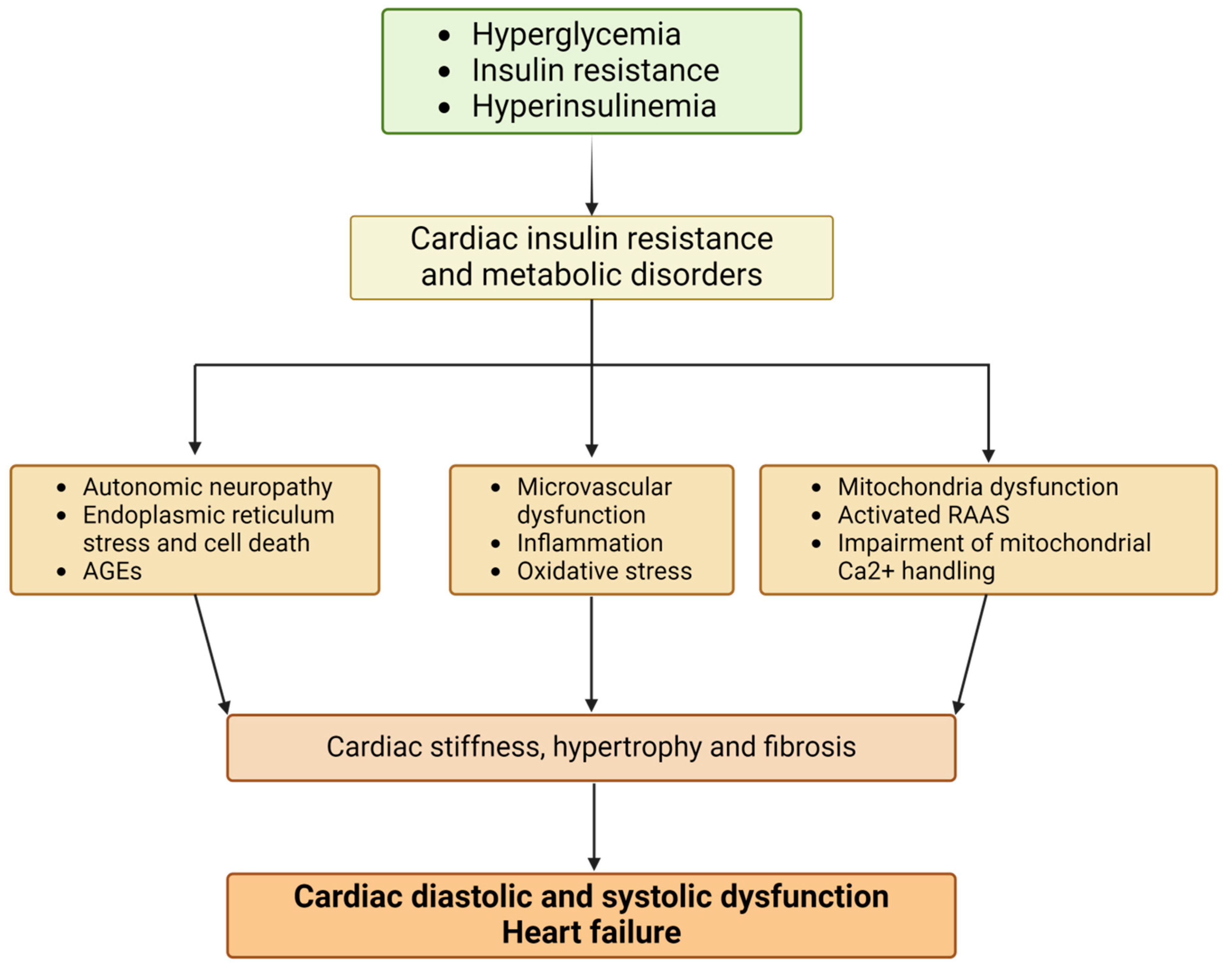 Biomedicines 12 02153 g001
