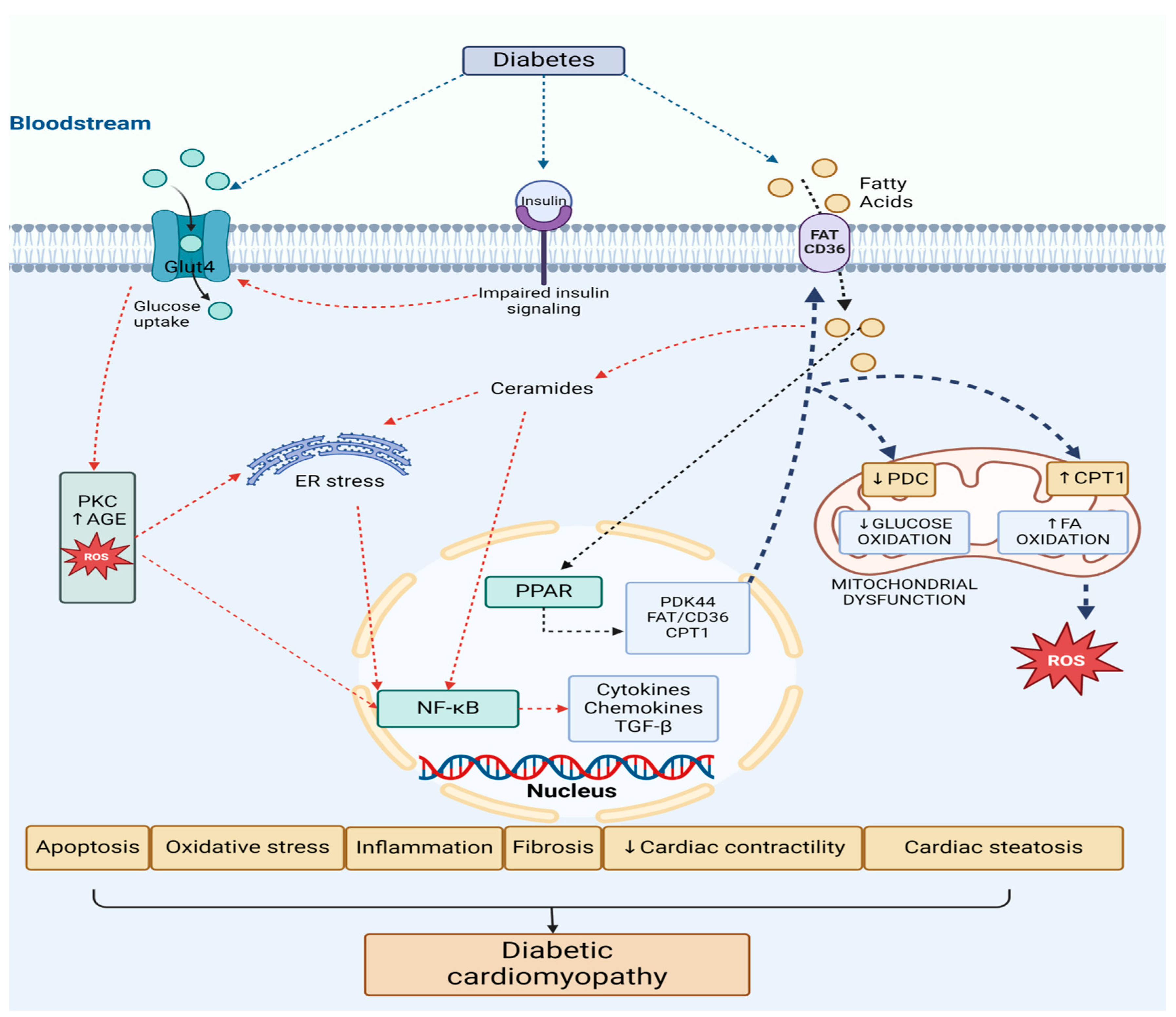 Biomedicines 12 02153 g002