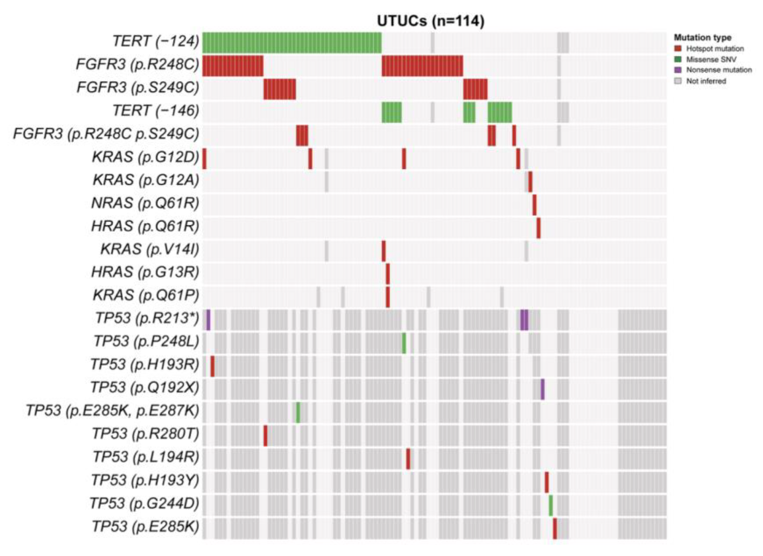 Biomedicines 12 02154 g002
