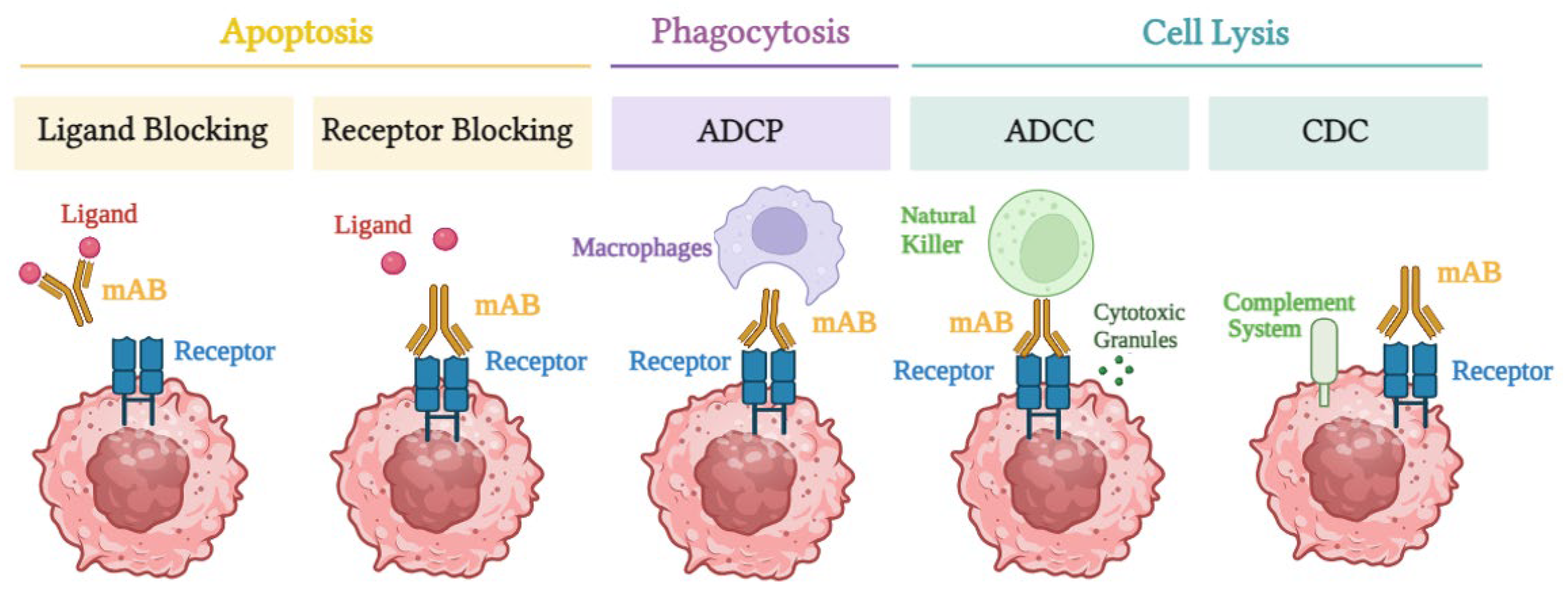 Biomedicines 12 02158 g001 Biomedicines 12 02158 g001