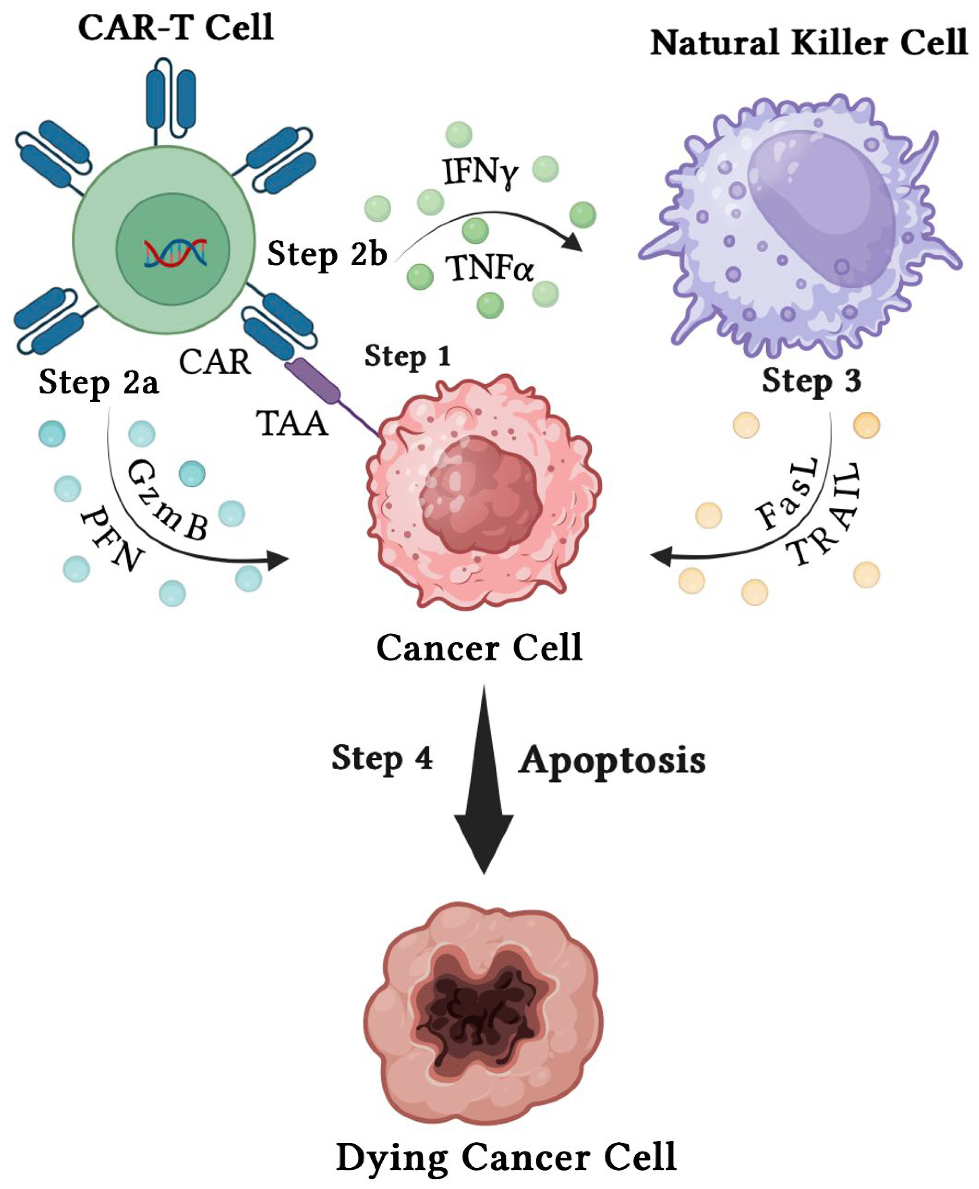 Biomedicines 12 02158 g002 Biomedicines 12 02158 g002