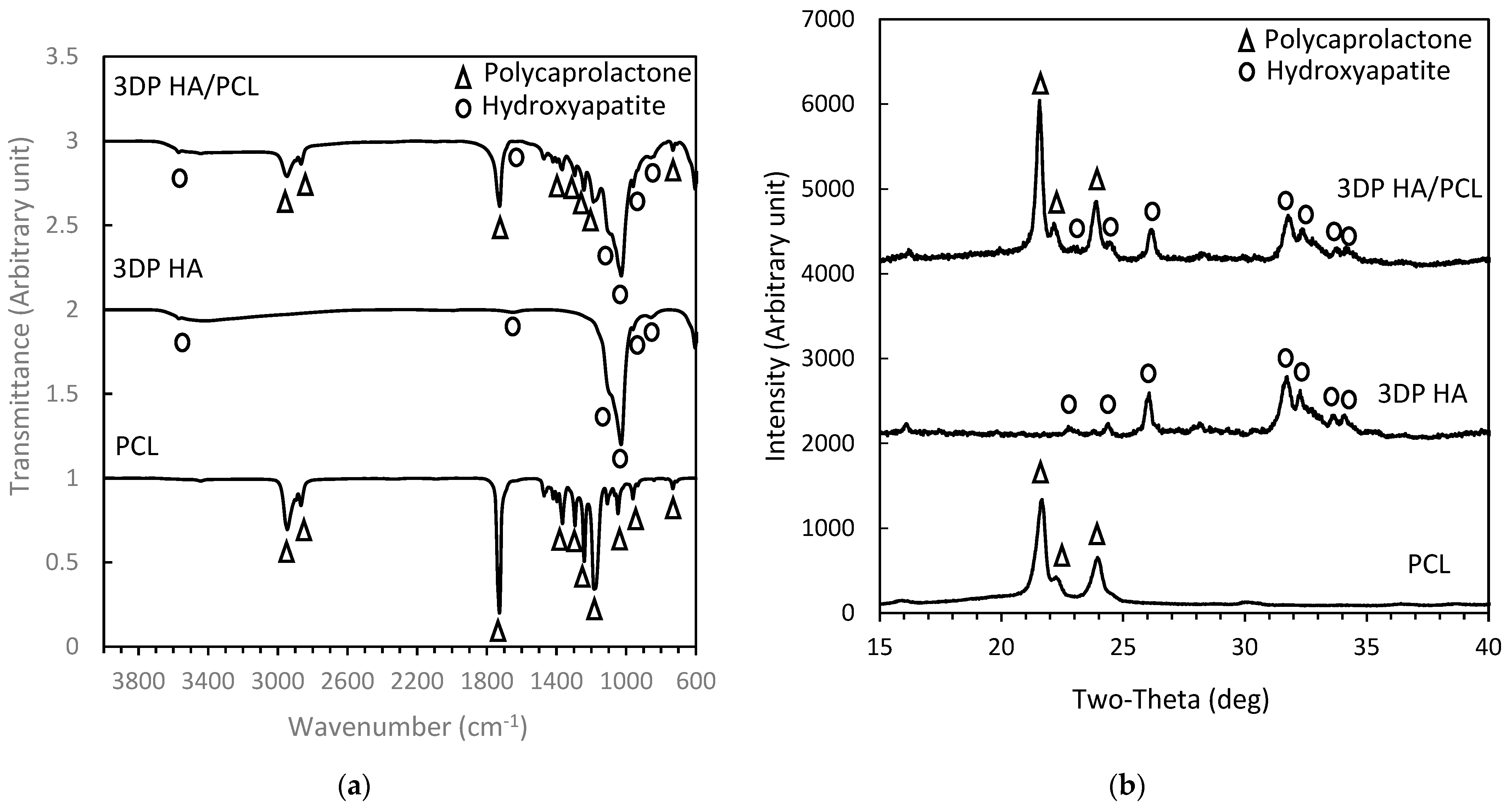 Biomedicines 12 02161 g002