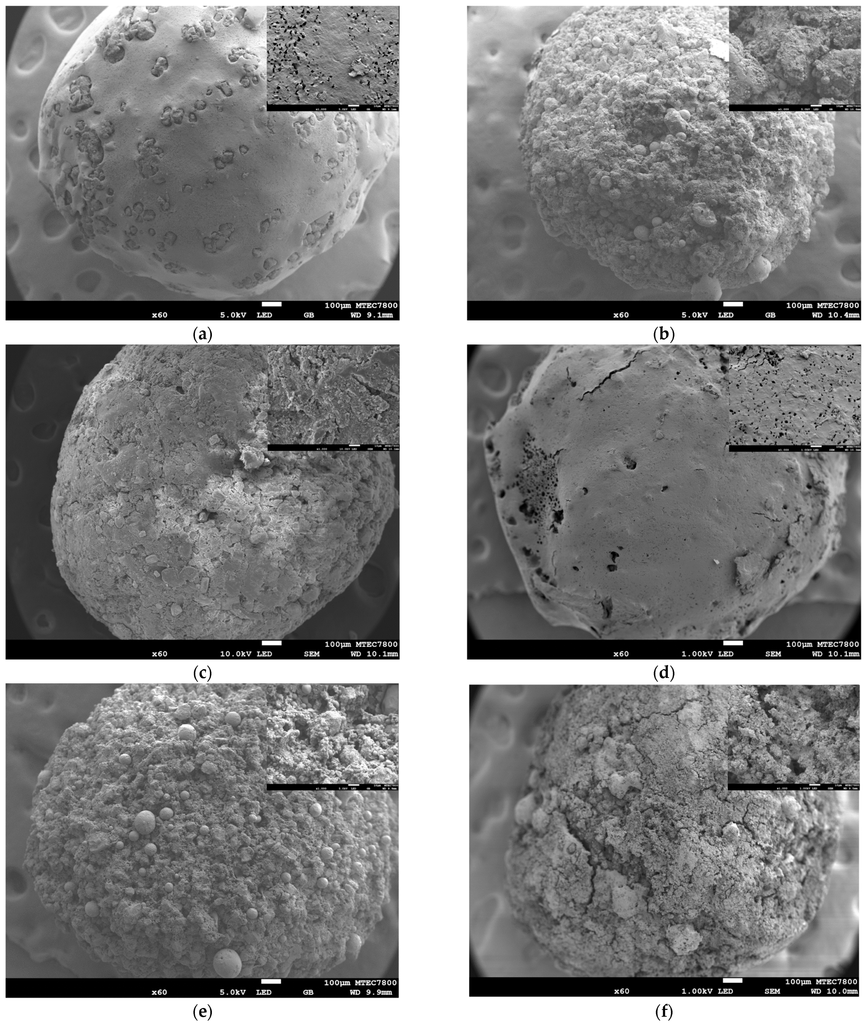 Biomedicines 12 02161 g005