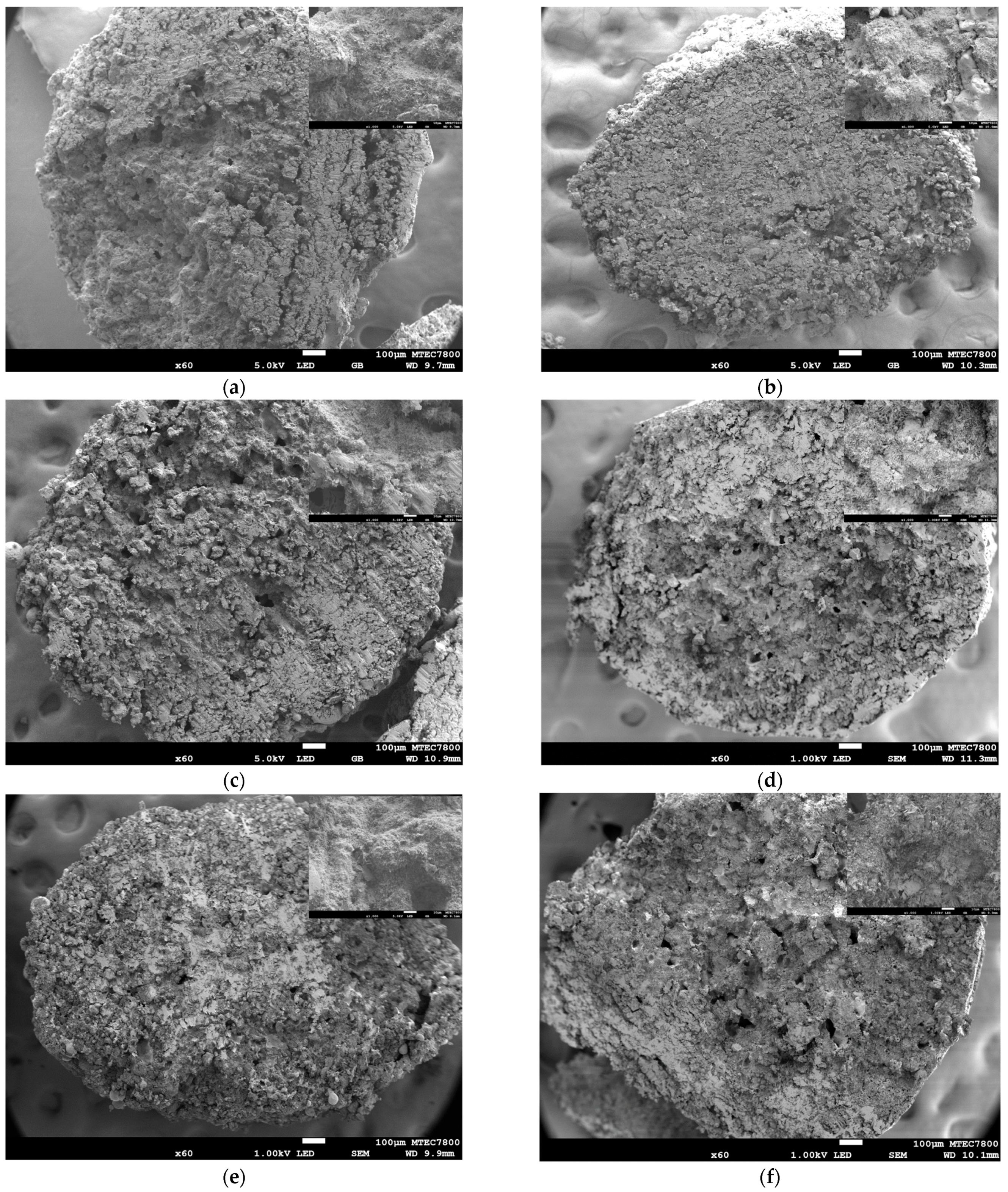 Biomedicines 12 02161 g006