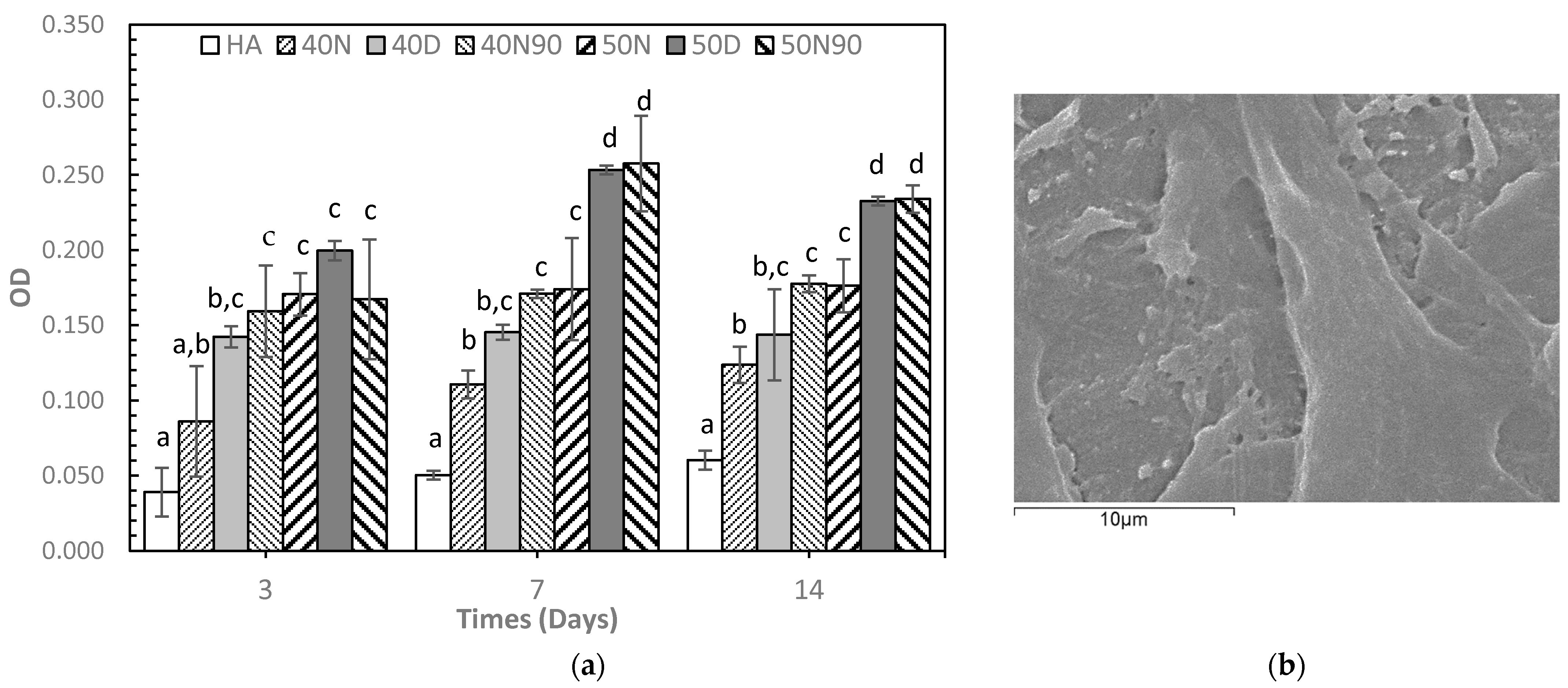 Biomedicines 12 02161 g007