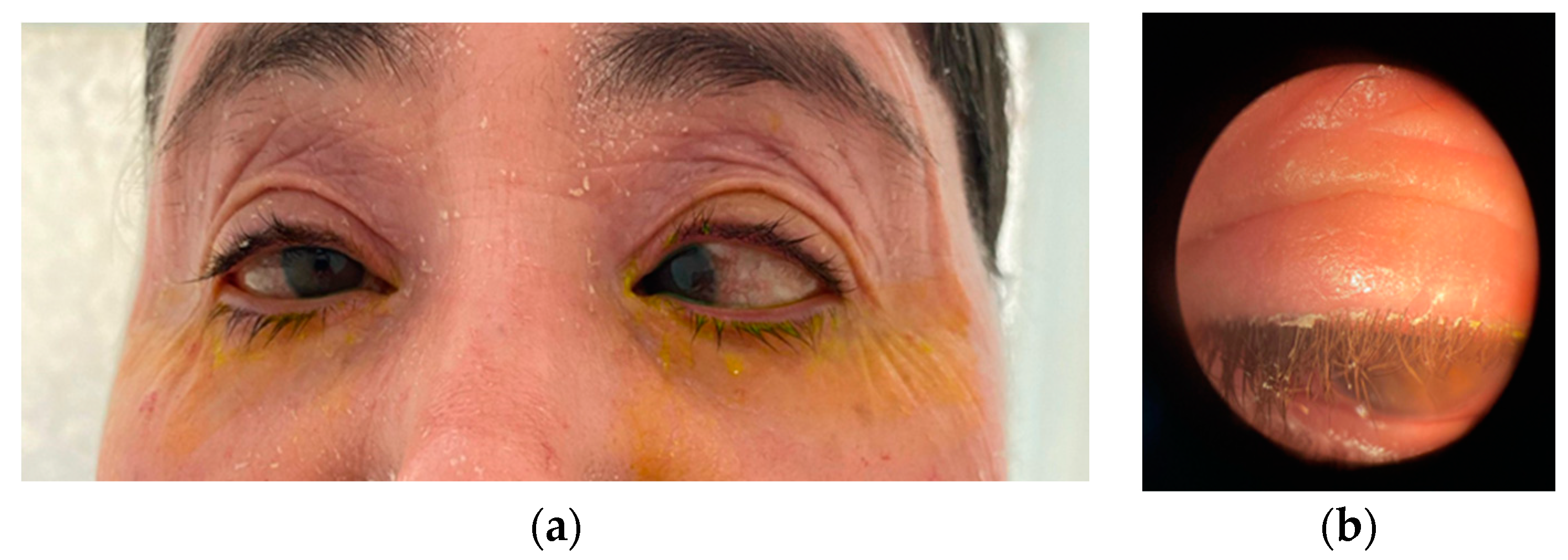 Biomedicines 12 02164 g003