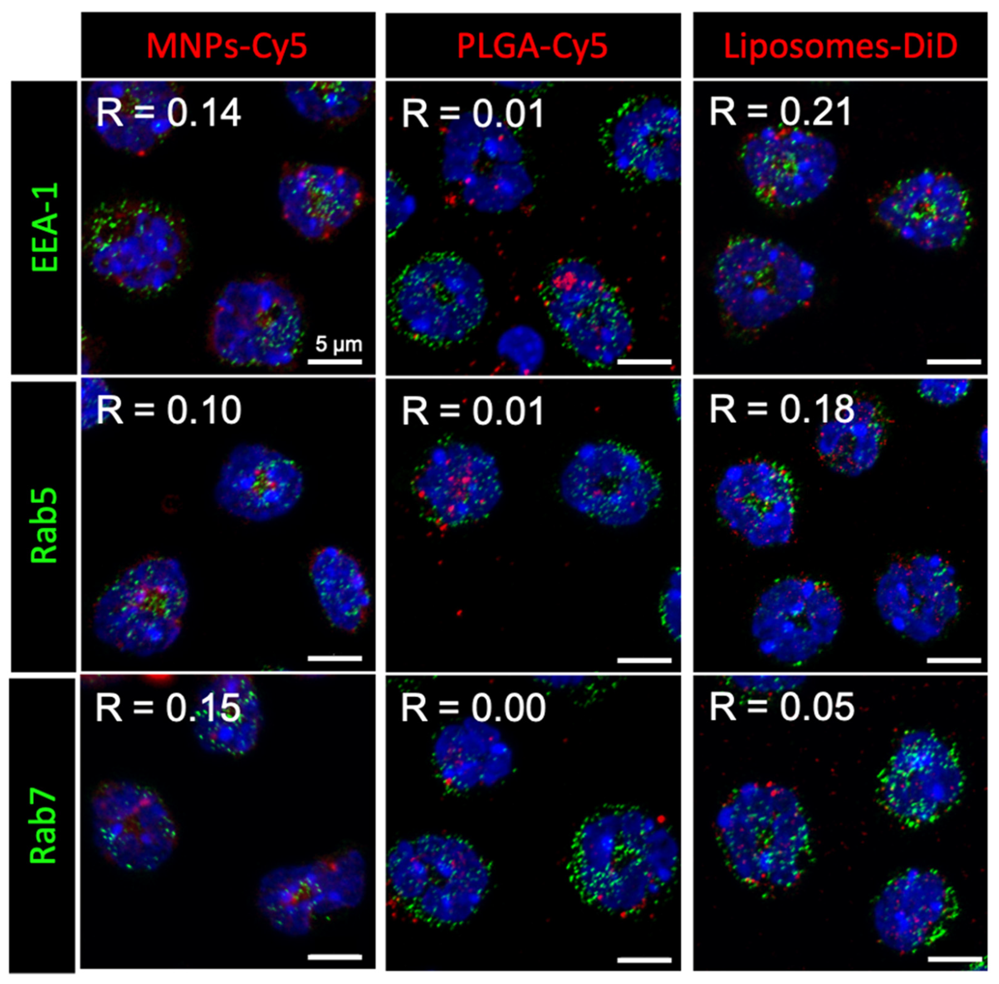 Biomedicines 12 02180 g001