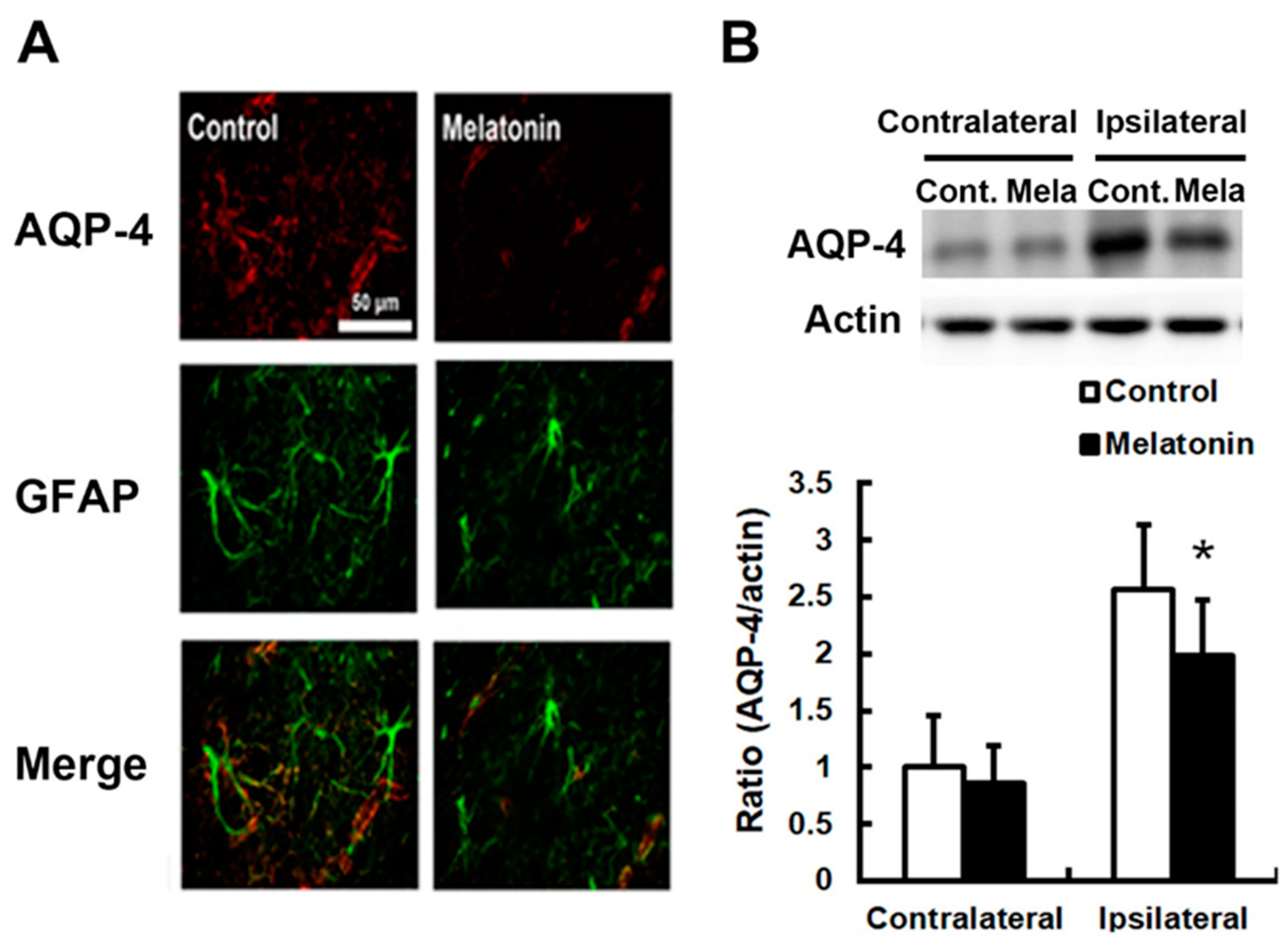 Biomedicines 12 02184 g004