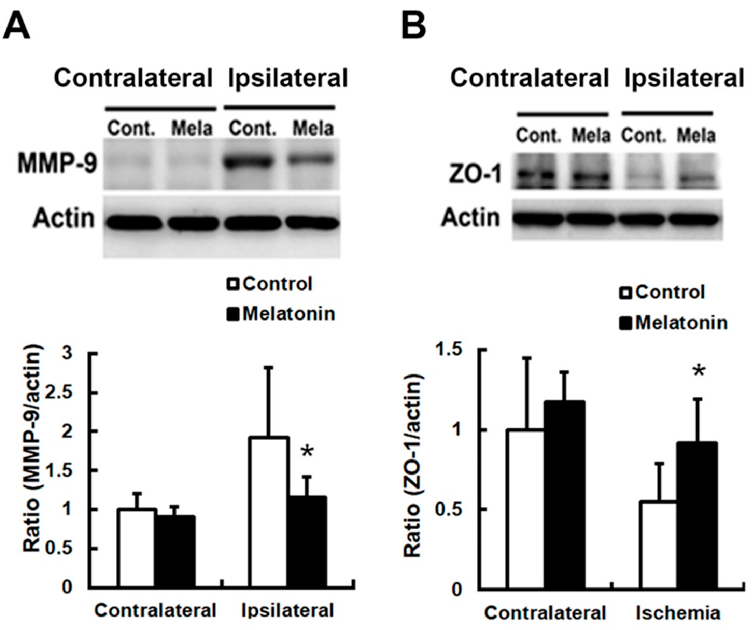 Biomedicines 12 02184 g005