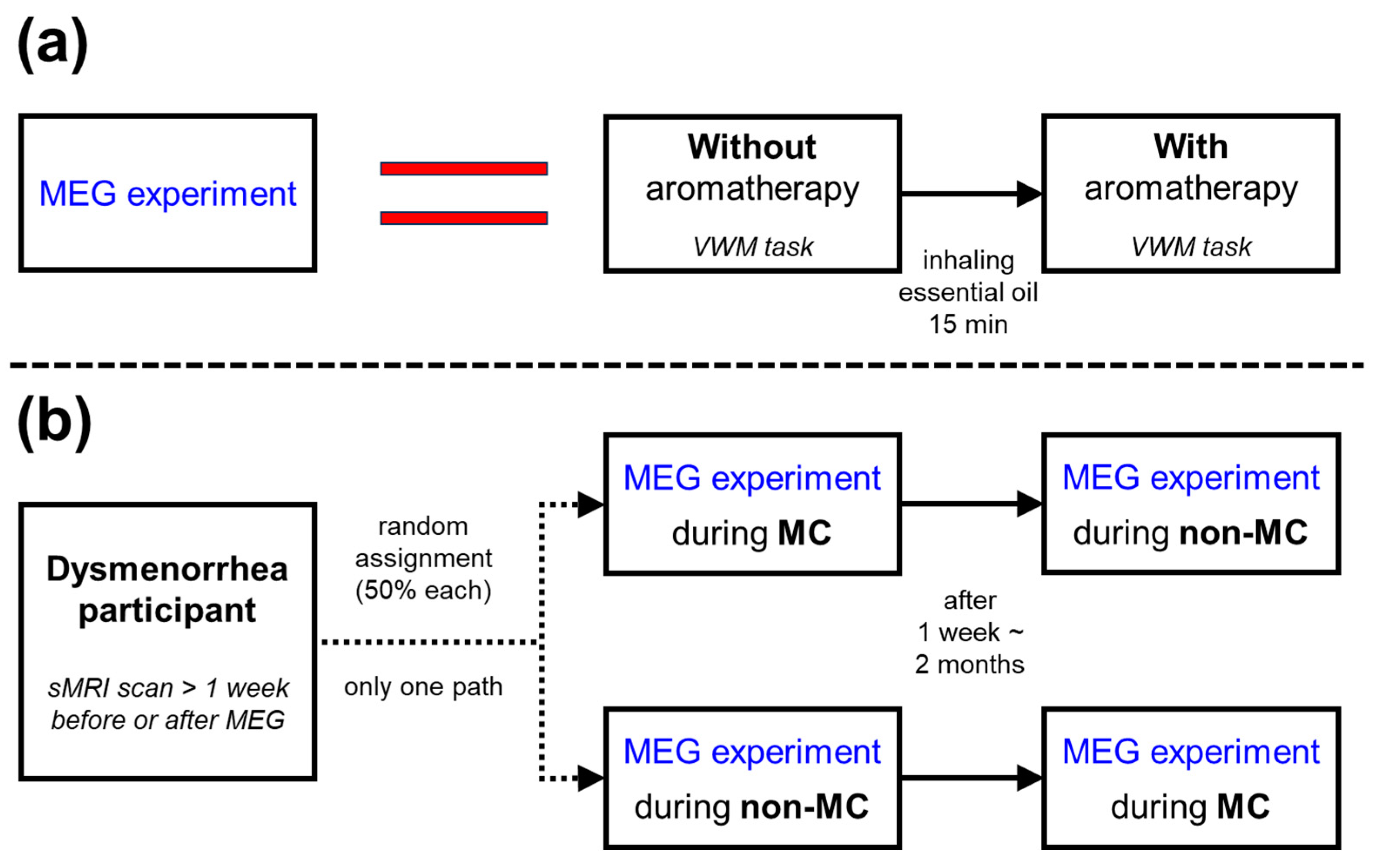 Biomedicines 12 02189 g001
