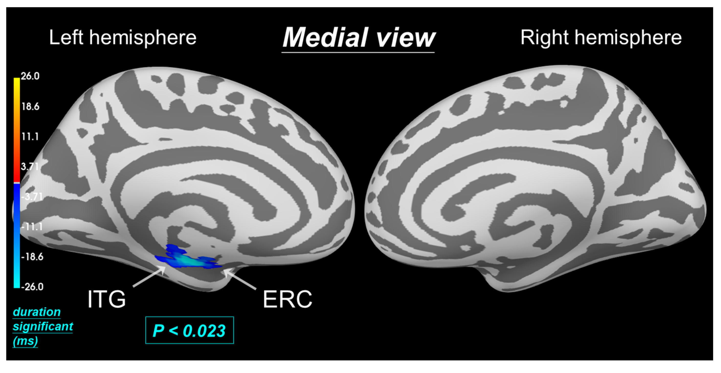Biomedicines 12 02189 g006