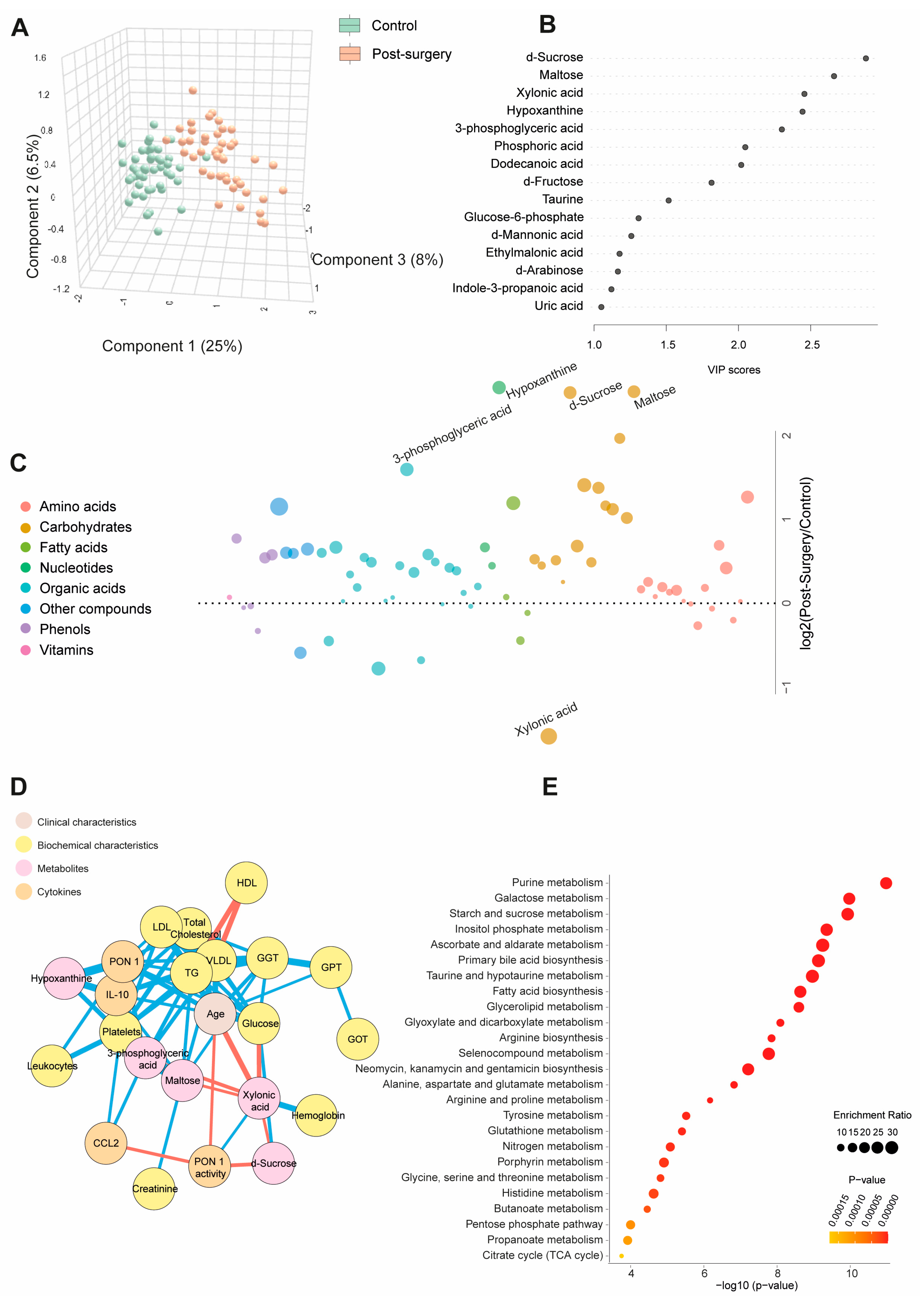 Biomedicines 12 02196 g002 Biomedicines 12 02196 g002