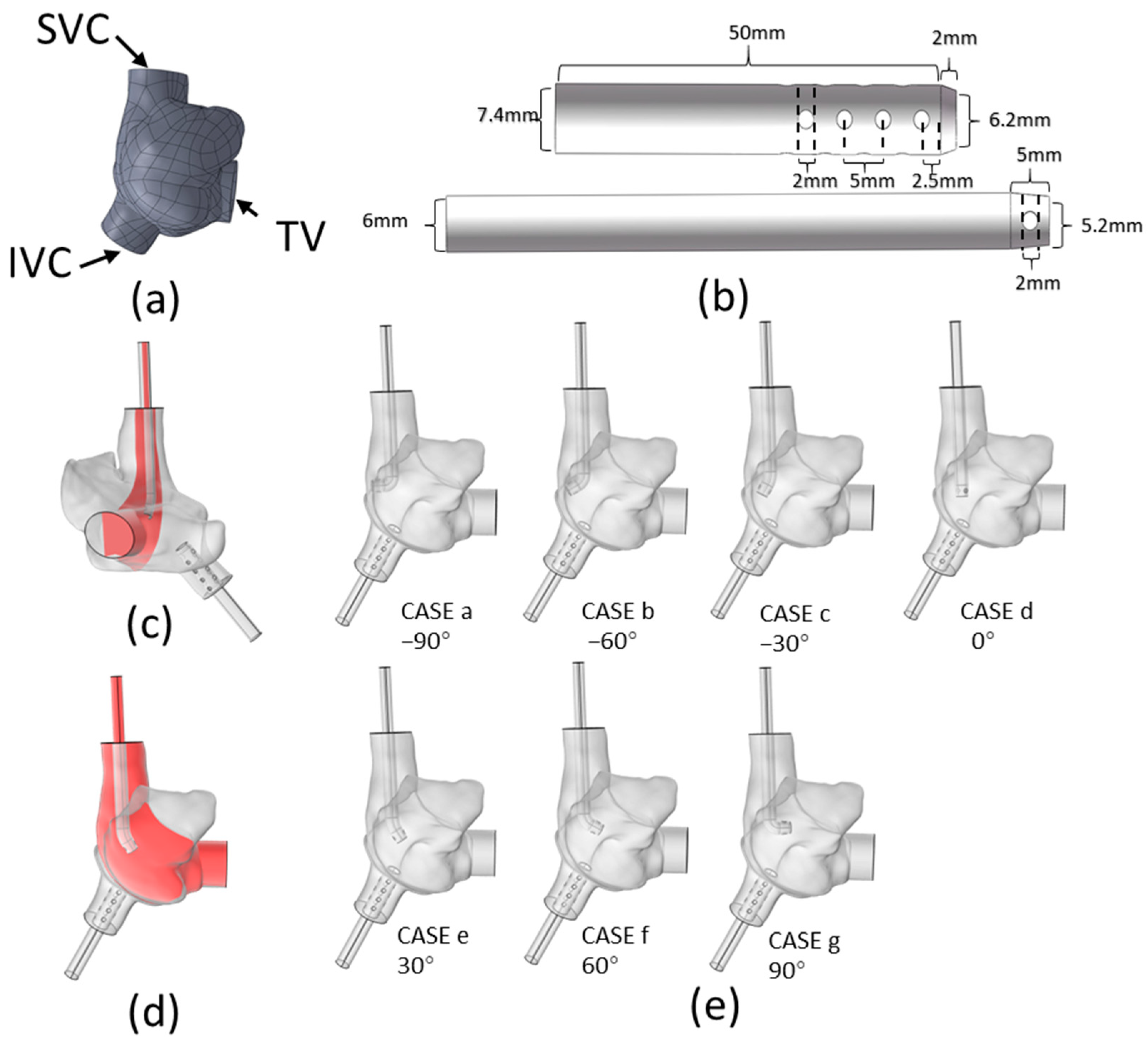 Biomedicines 12 02198 g001