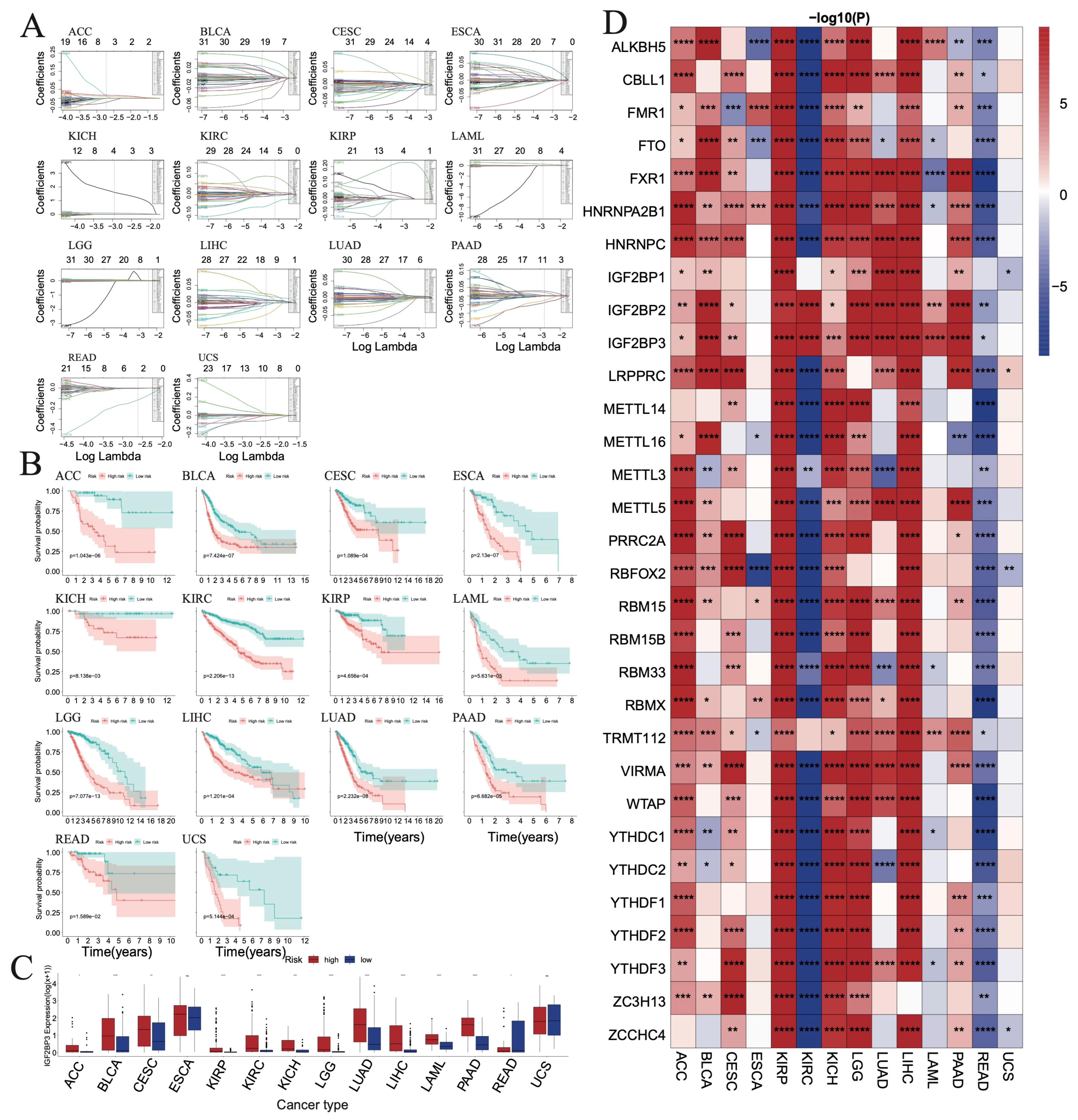 Biomedicines 12 02211 g005