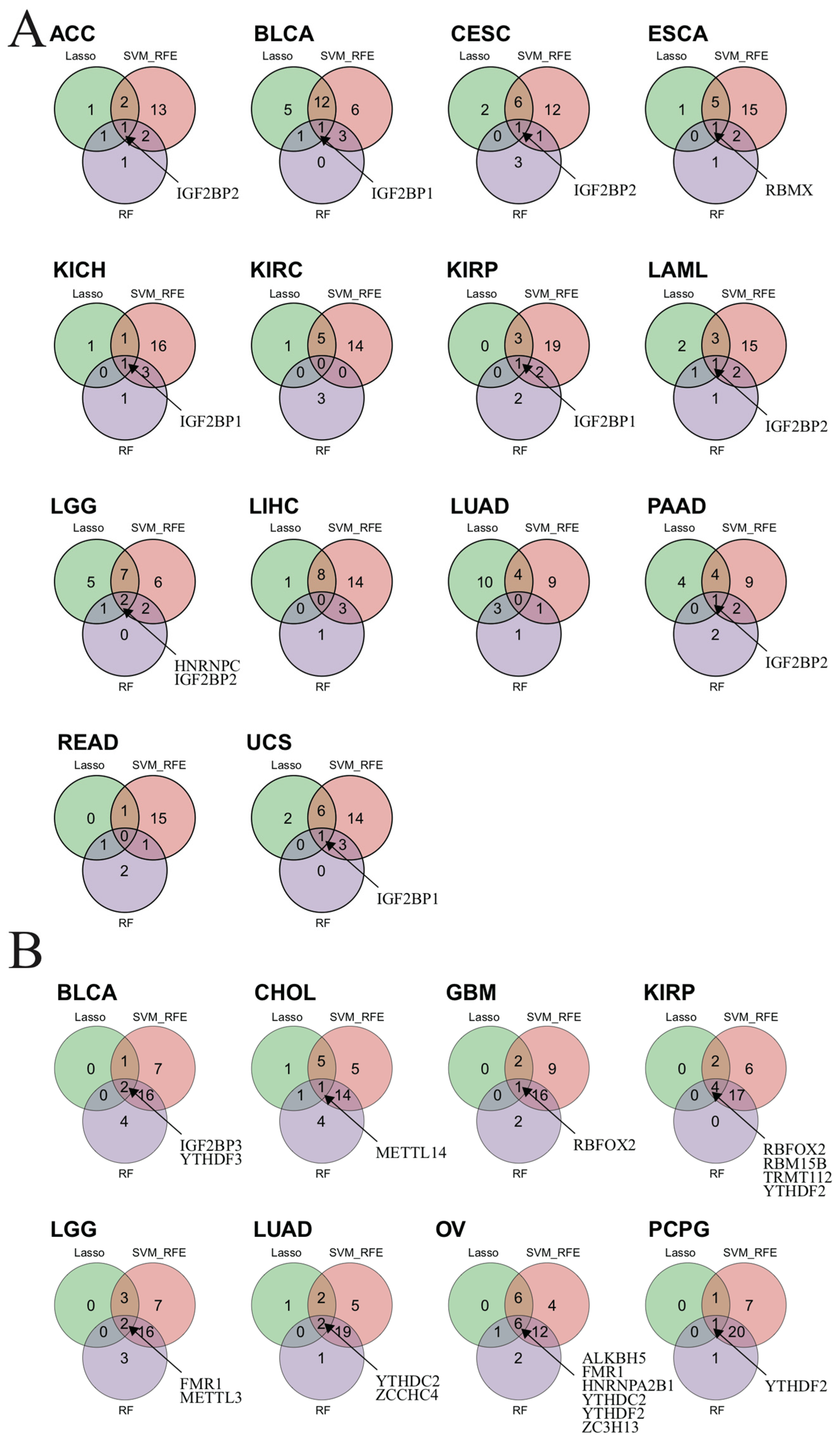 Biomedicines 12 02211 g008