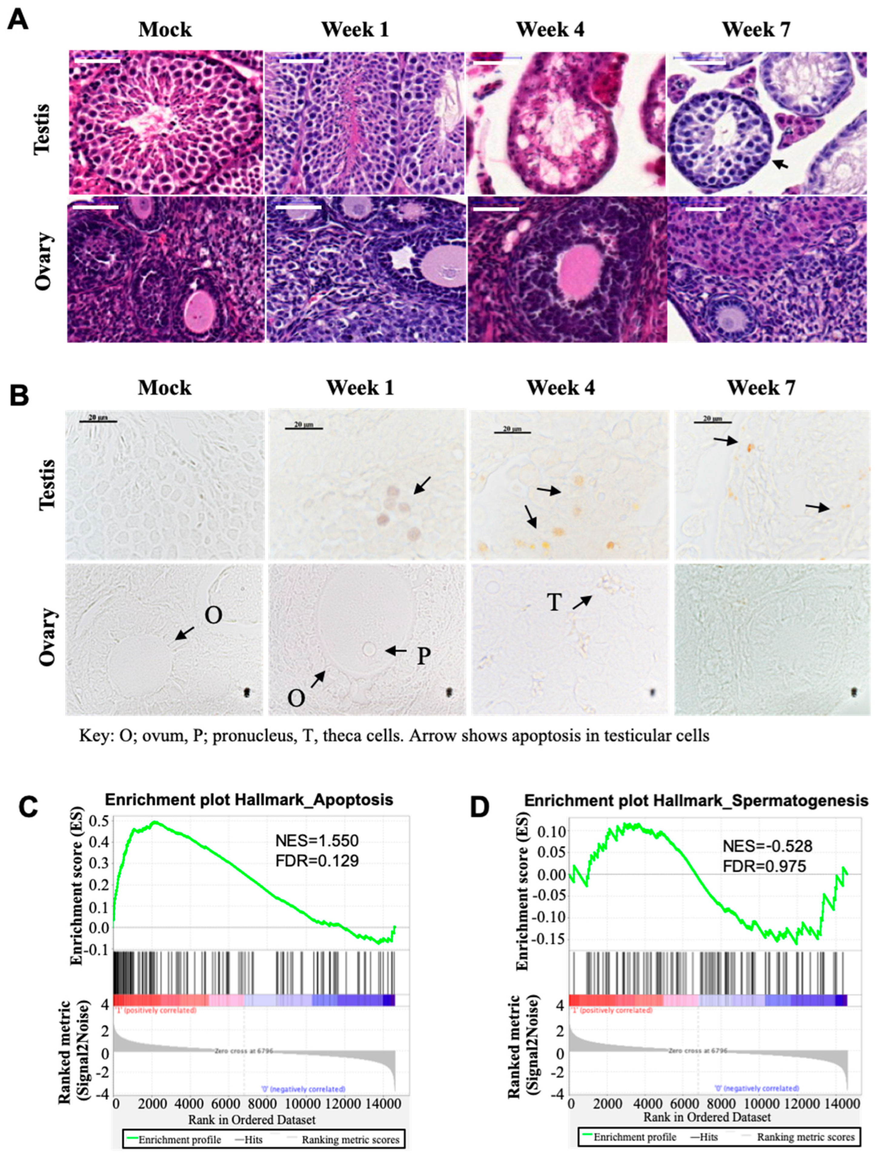 Biomedicines 12 02220 g001