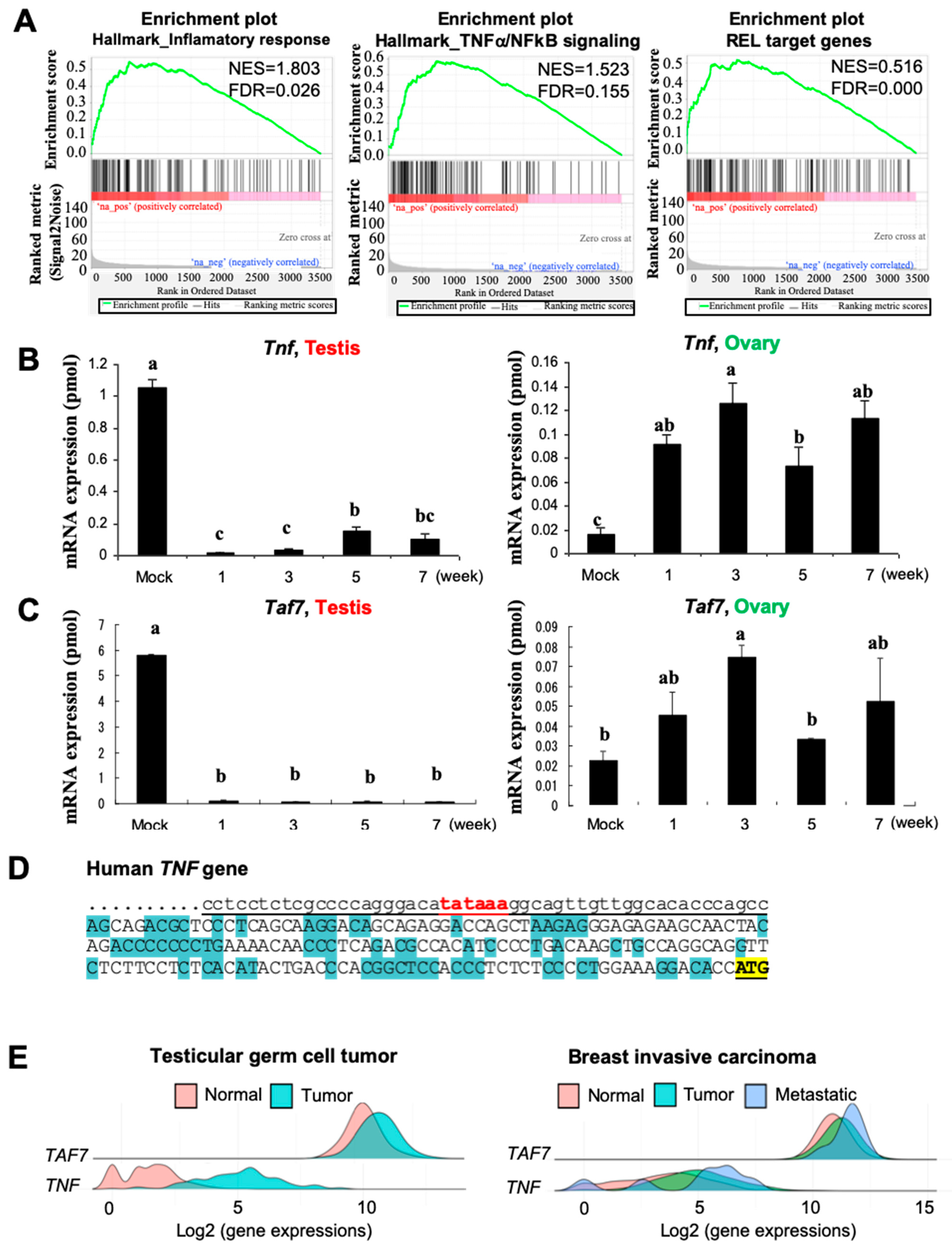 Biomedicines 12 02220 g003
