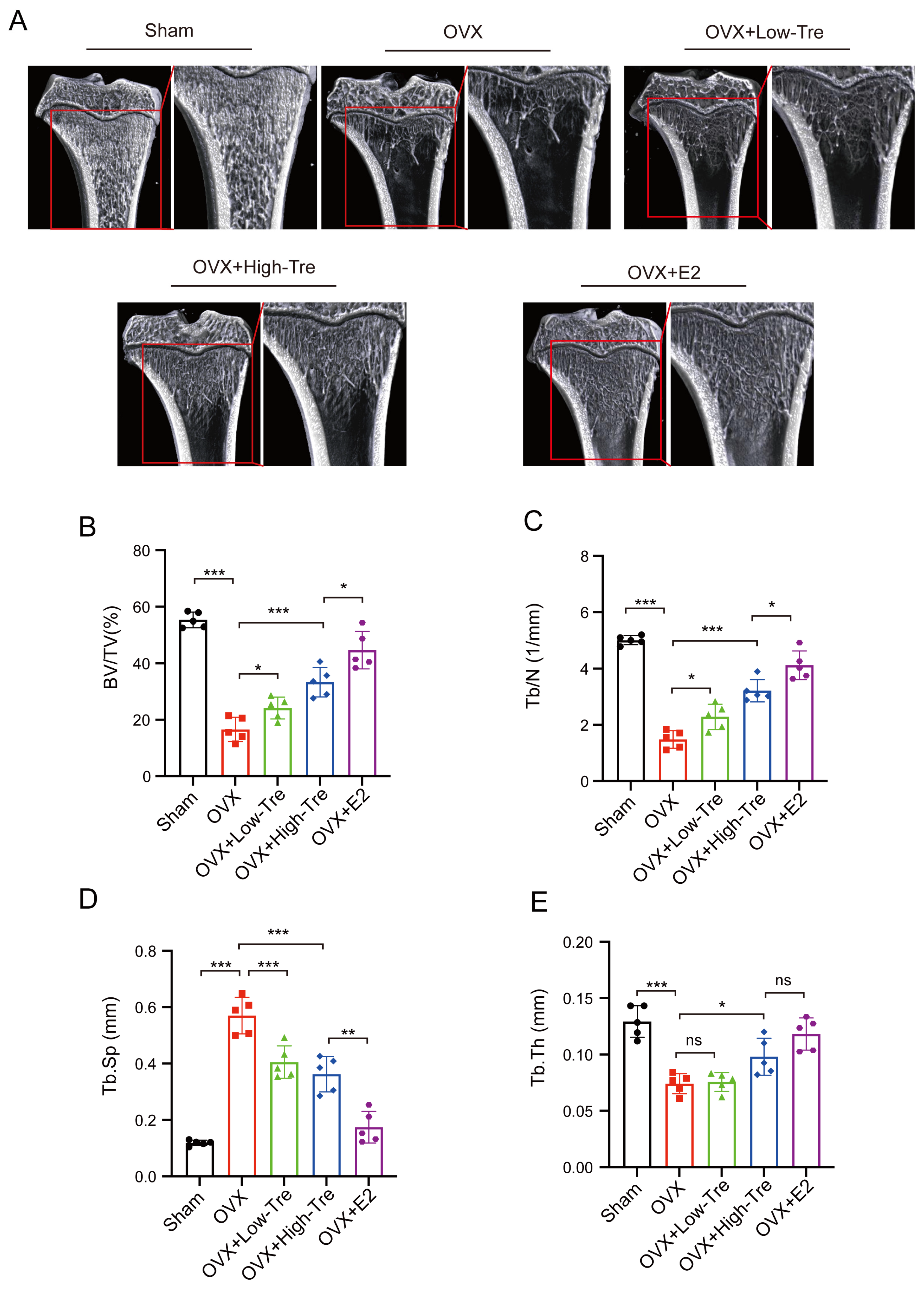 Biomedicines 12 02224 g002