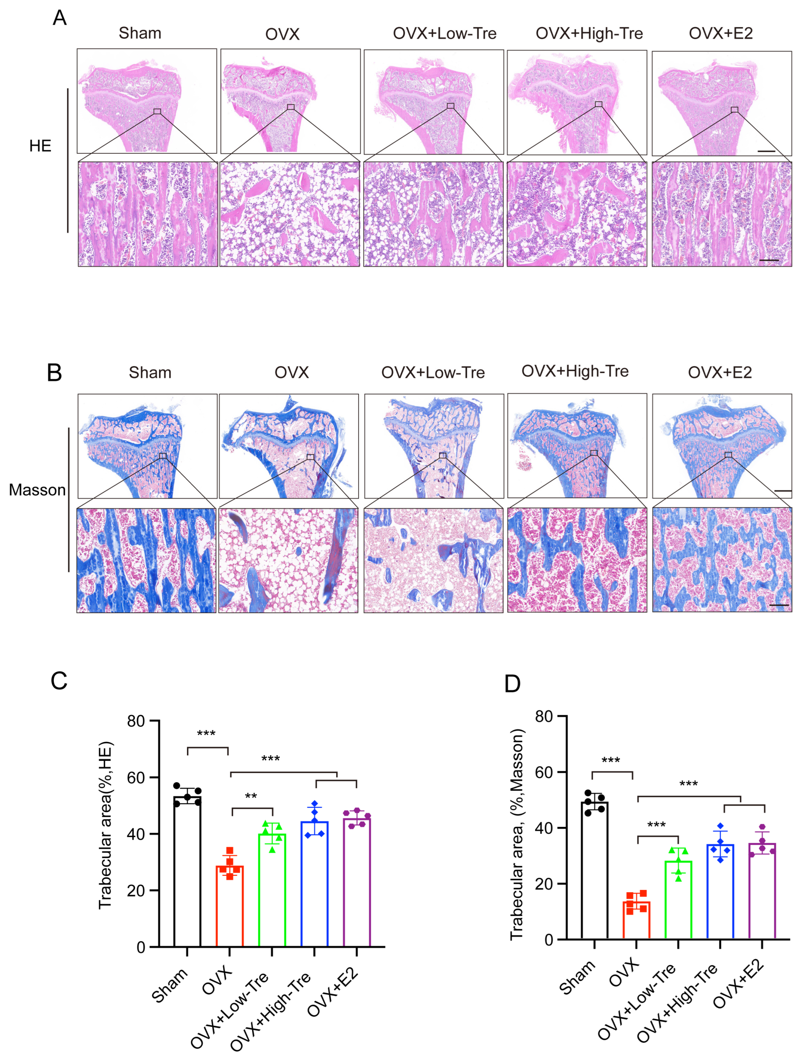 Biomedicines 12 02224 g003