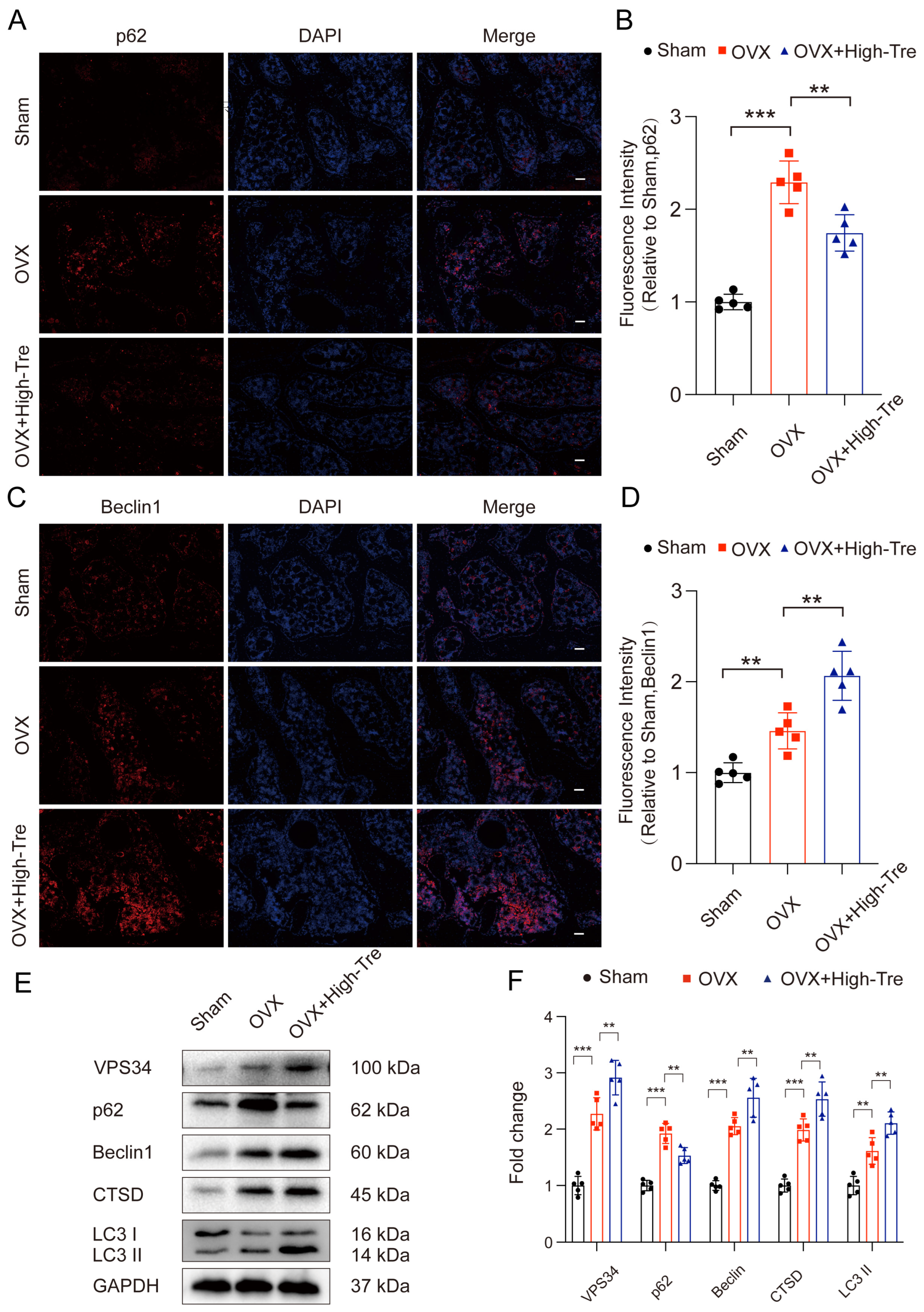Biomedicines 12 02224 g006