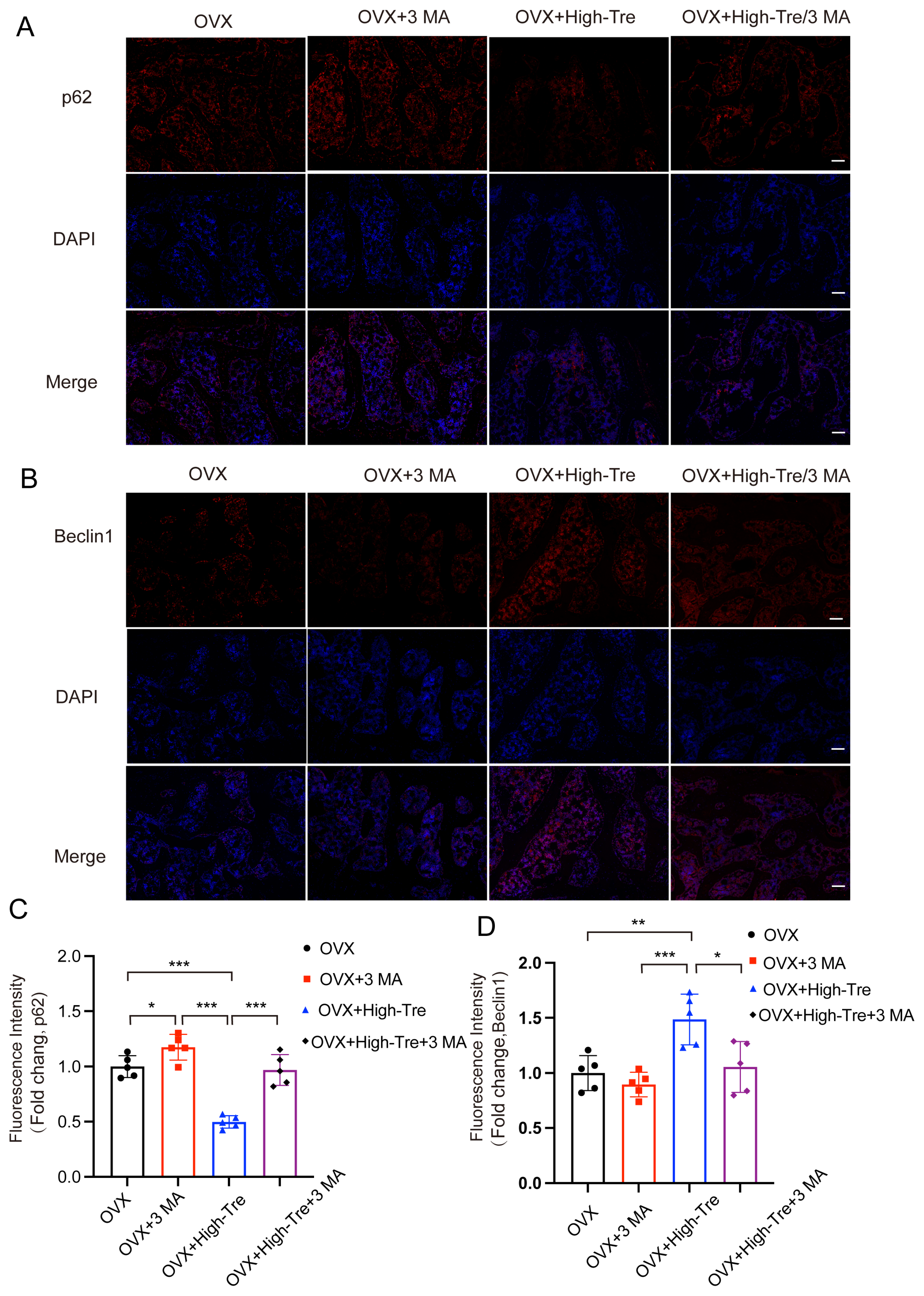 Biomedicines 12 02224 g008